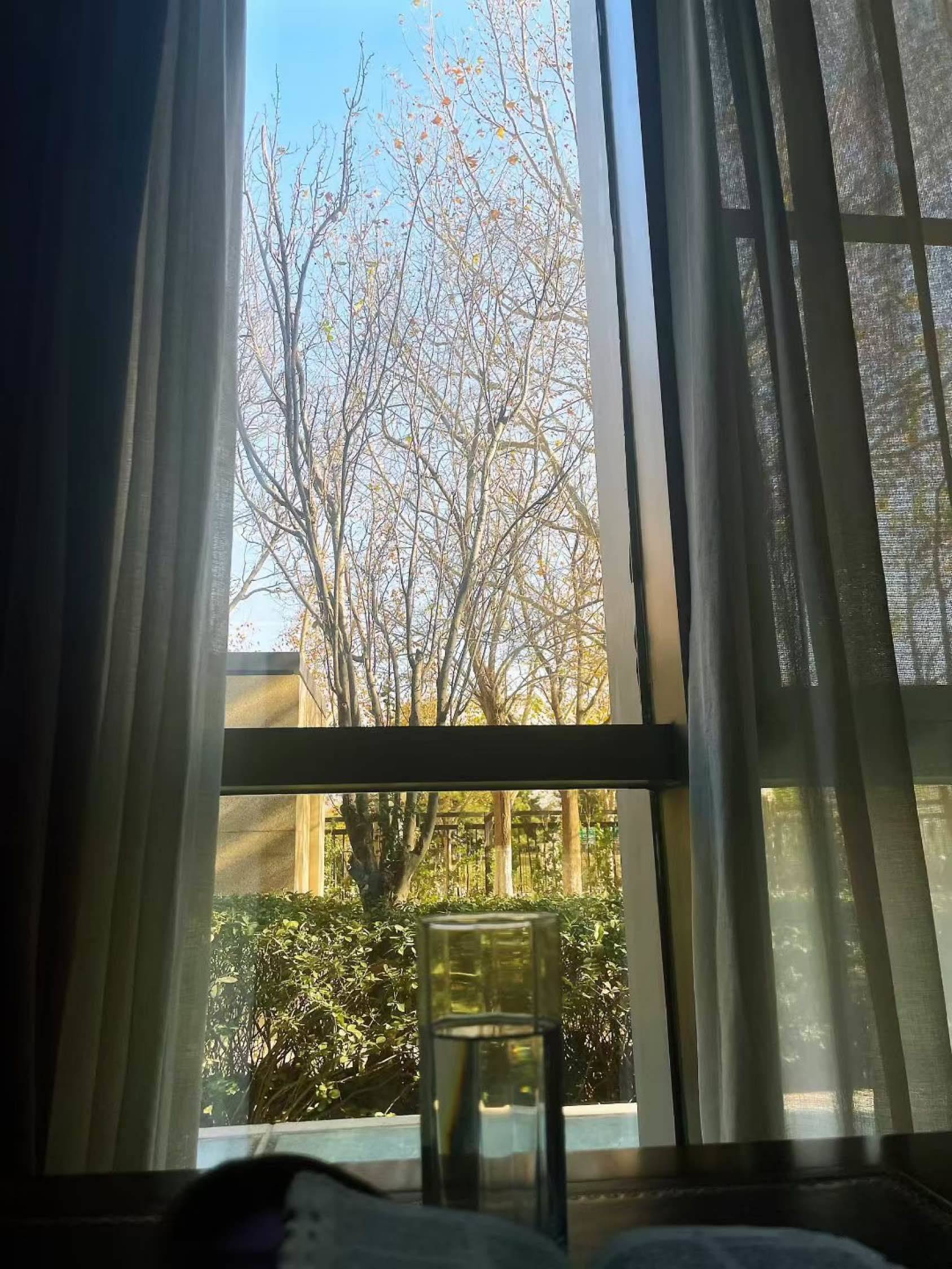 又是个阳光明媚的日子🌞