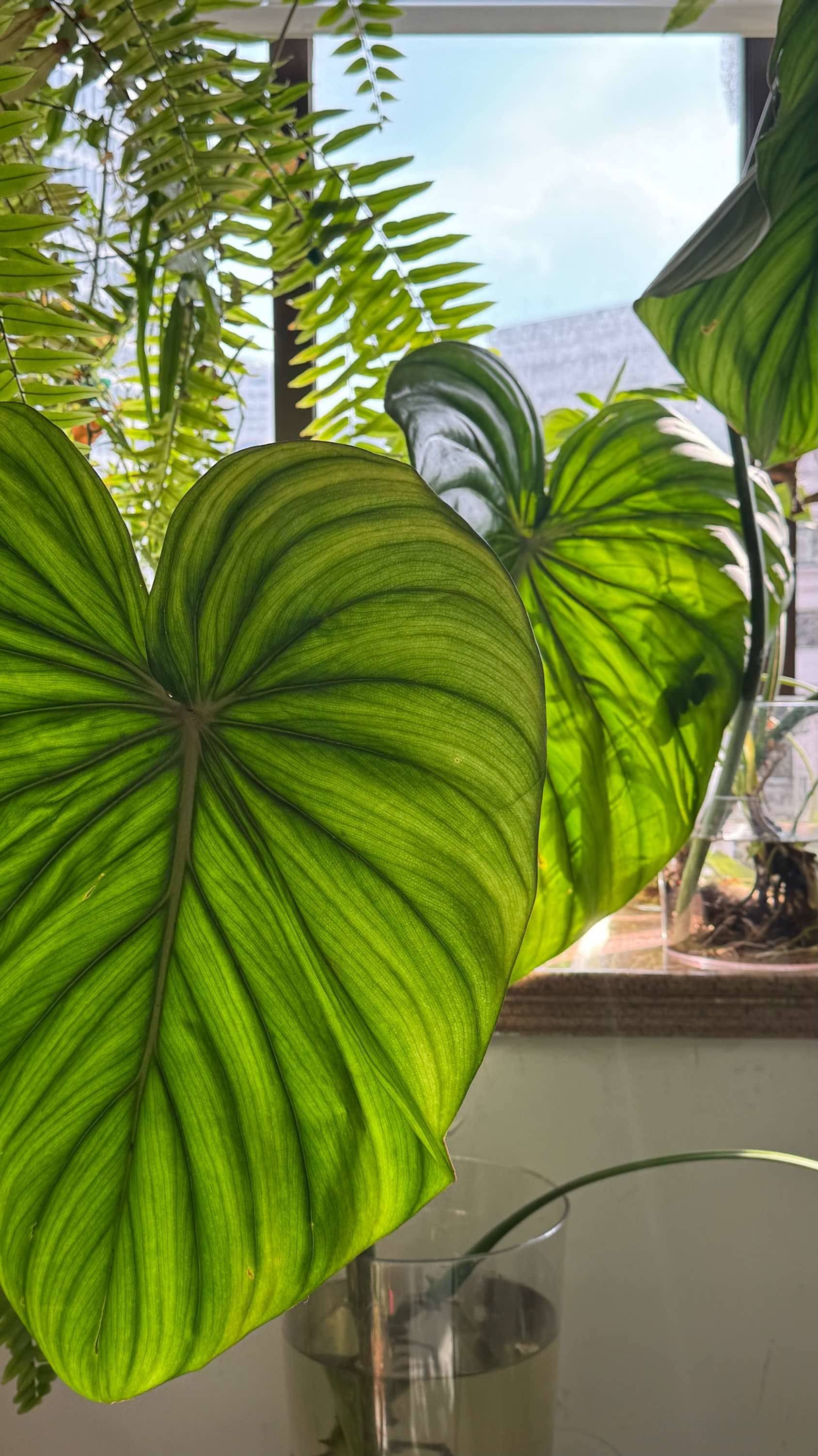 静安寺的疗愈之家_3