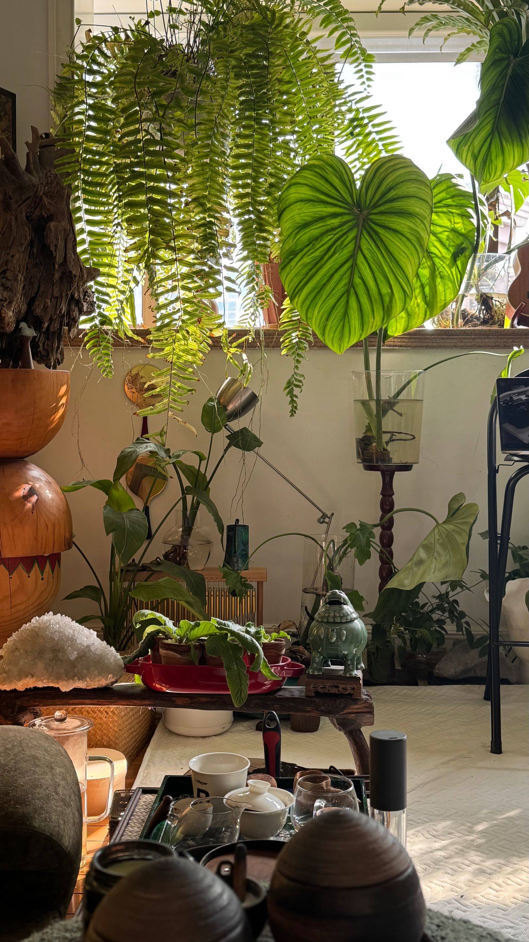 静安寺的疗愈之家_4