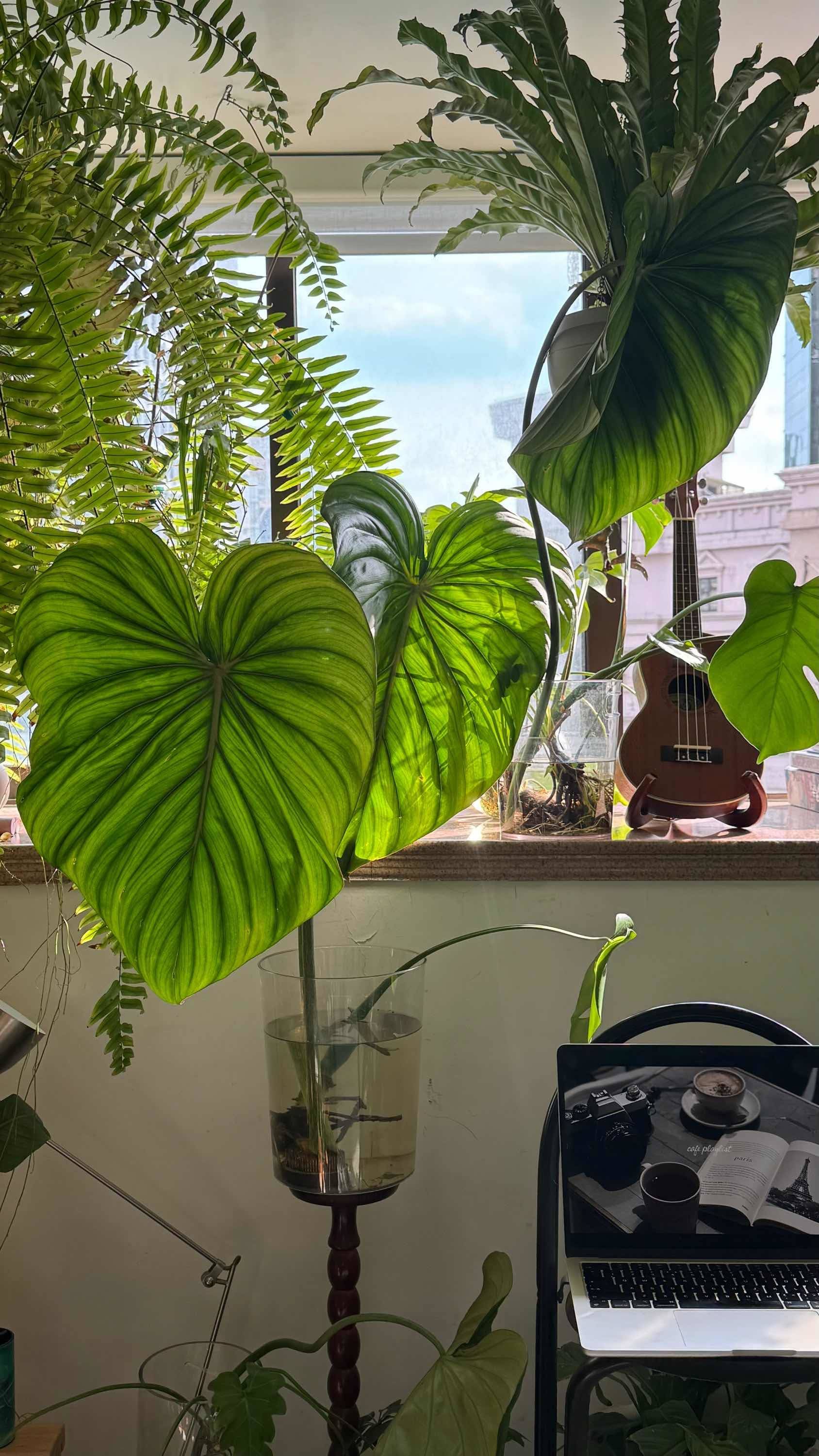 静安寺的疗愈之家_1