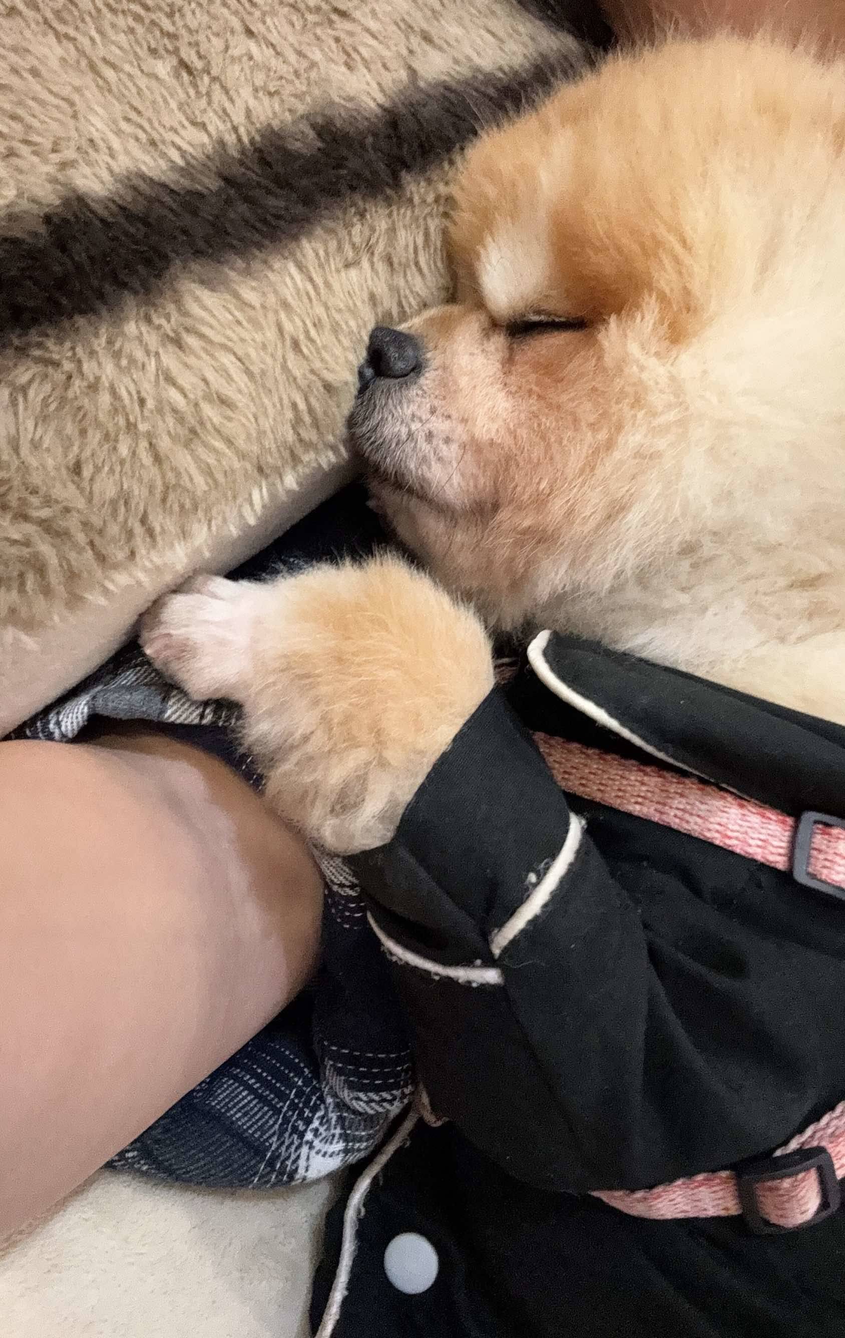 萧山有优质房,房东直租 神仙房东 直