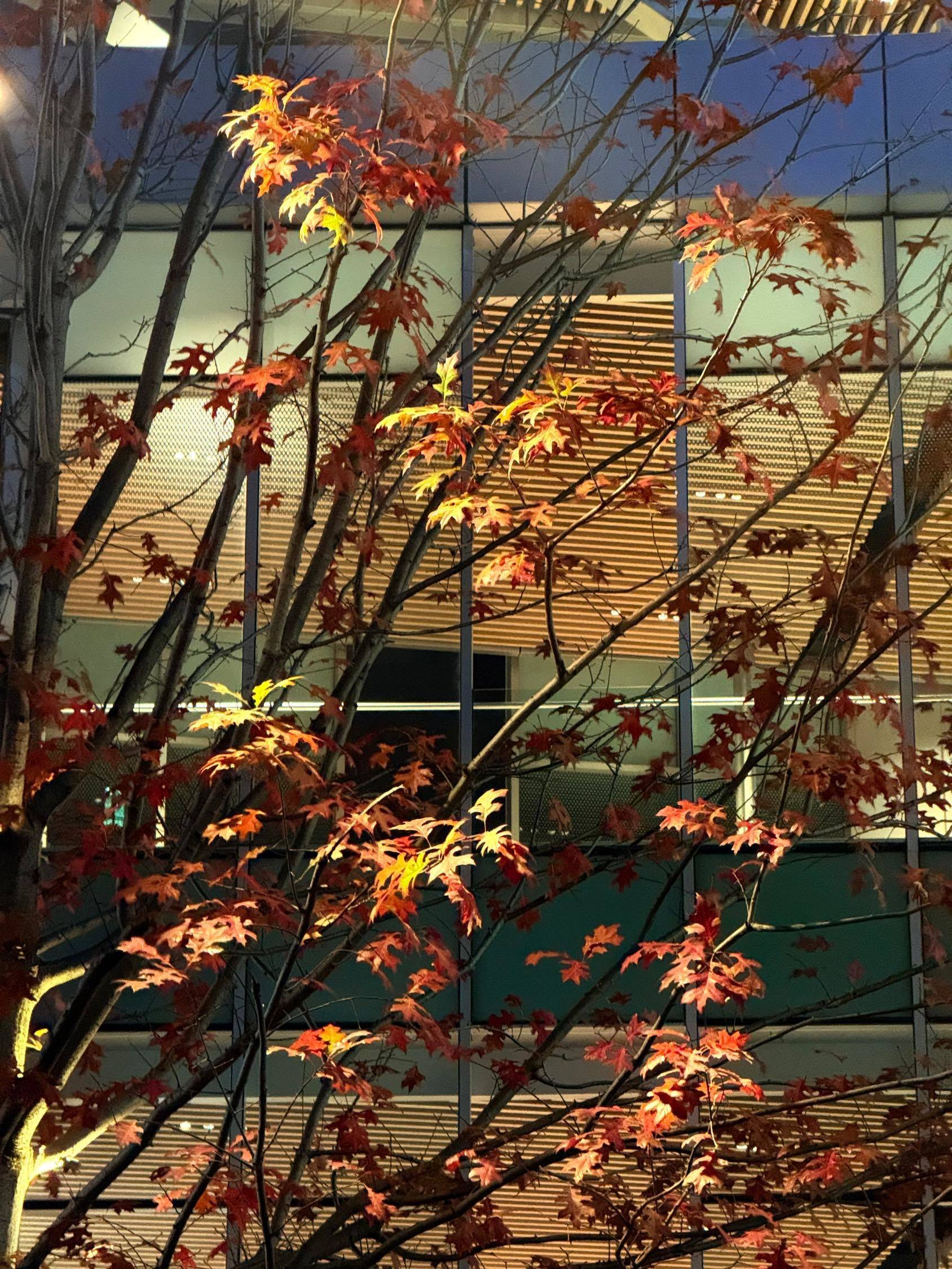 爱这个世界的大多数