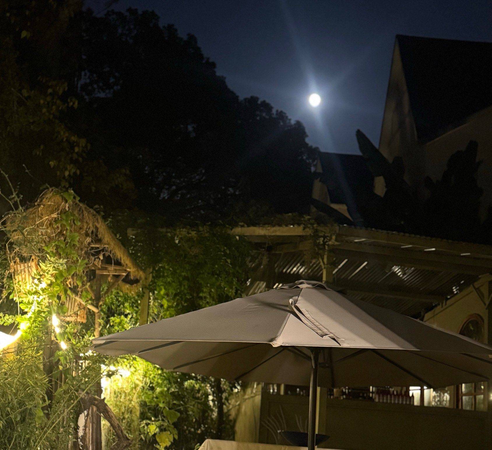 萧山有房出租 房东直租 月夜庭院