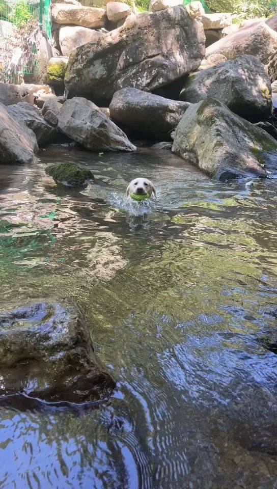 勇敢拉拉 不怕困难