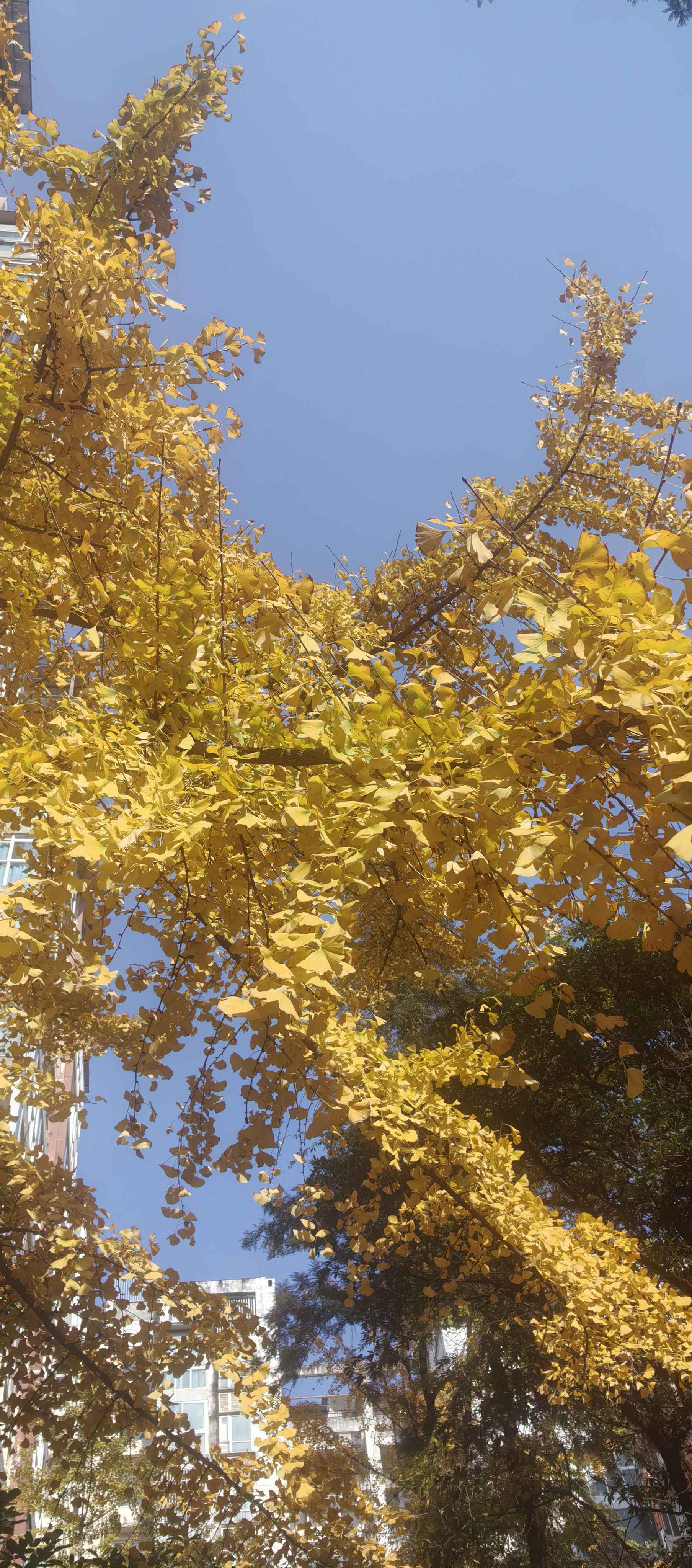 冬日的阳光格外暖_1