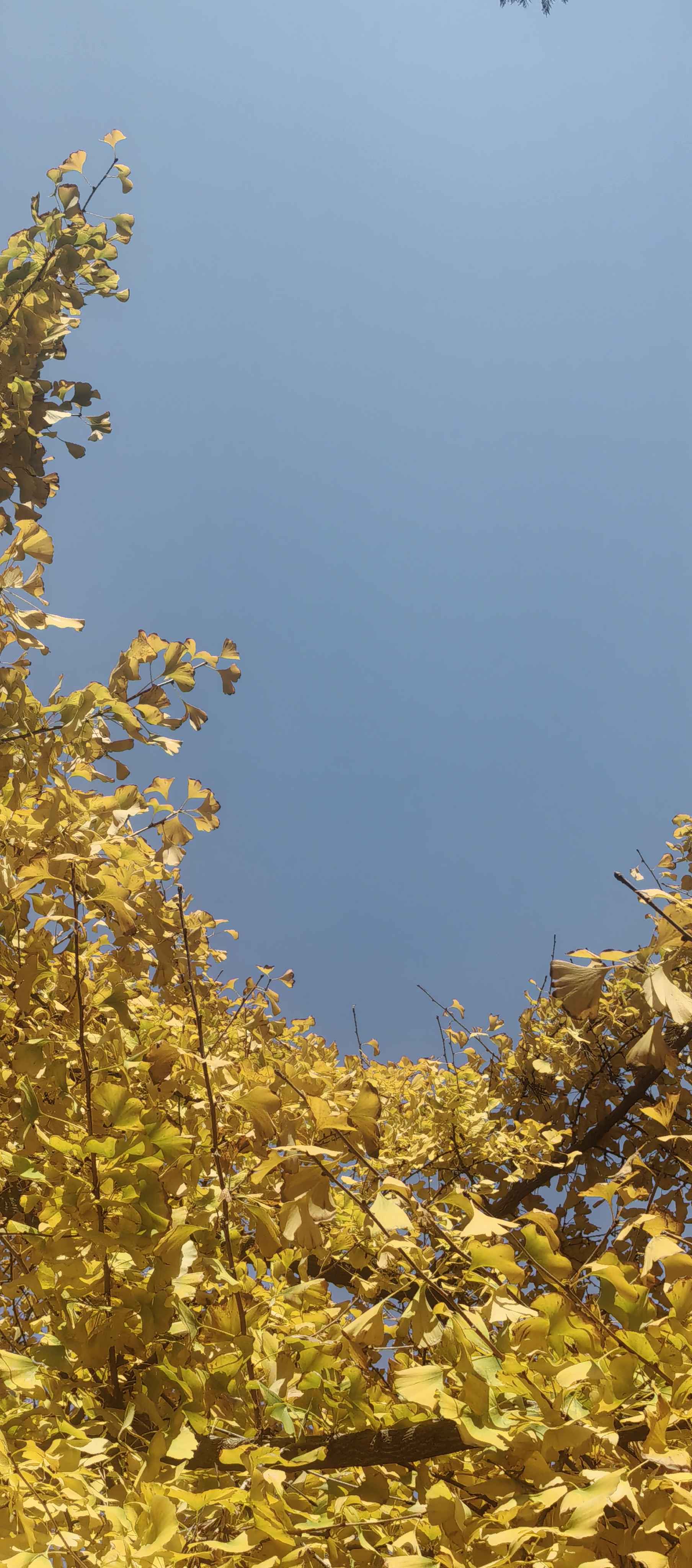 冬日的阳光格外暖