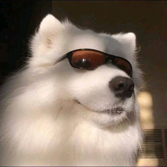 南京市区找合租室友