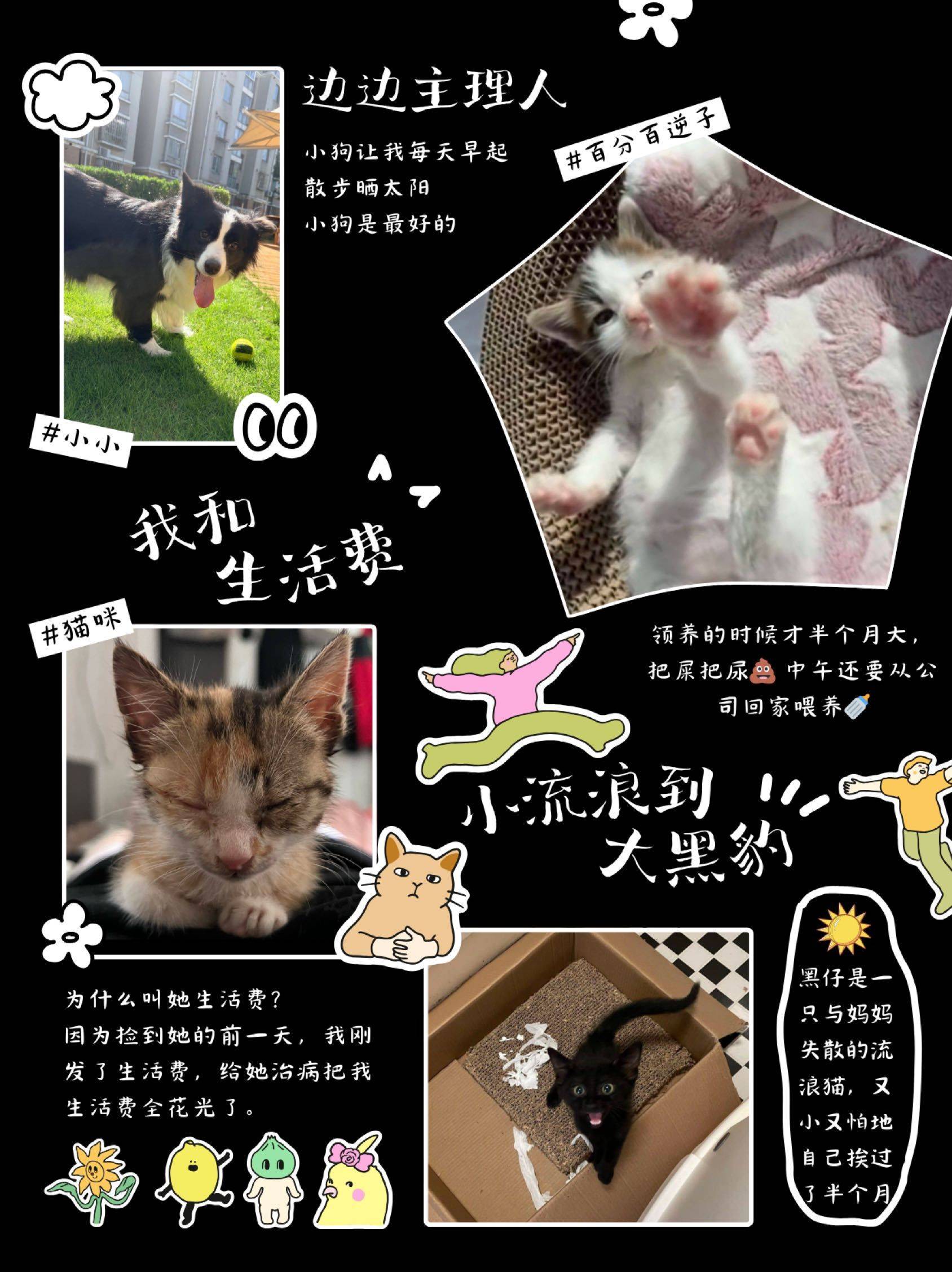 【优质合集】可以再讲一次选中我的故事吗？_0