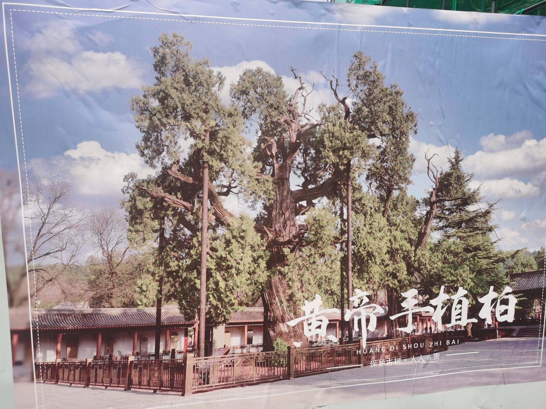 热爱漫无边际，生活自有分寸