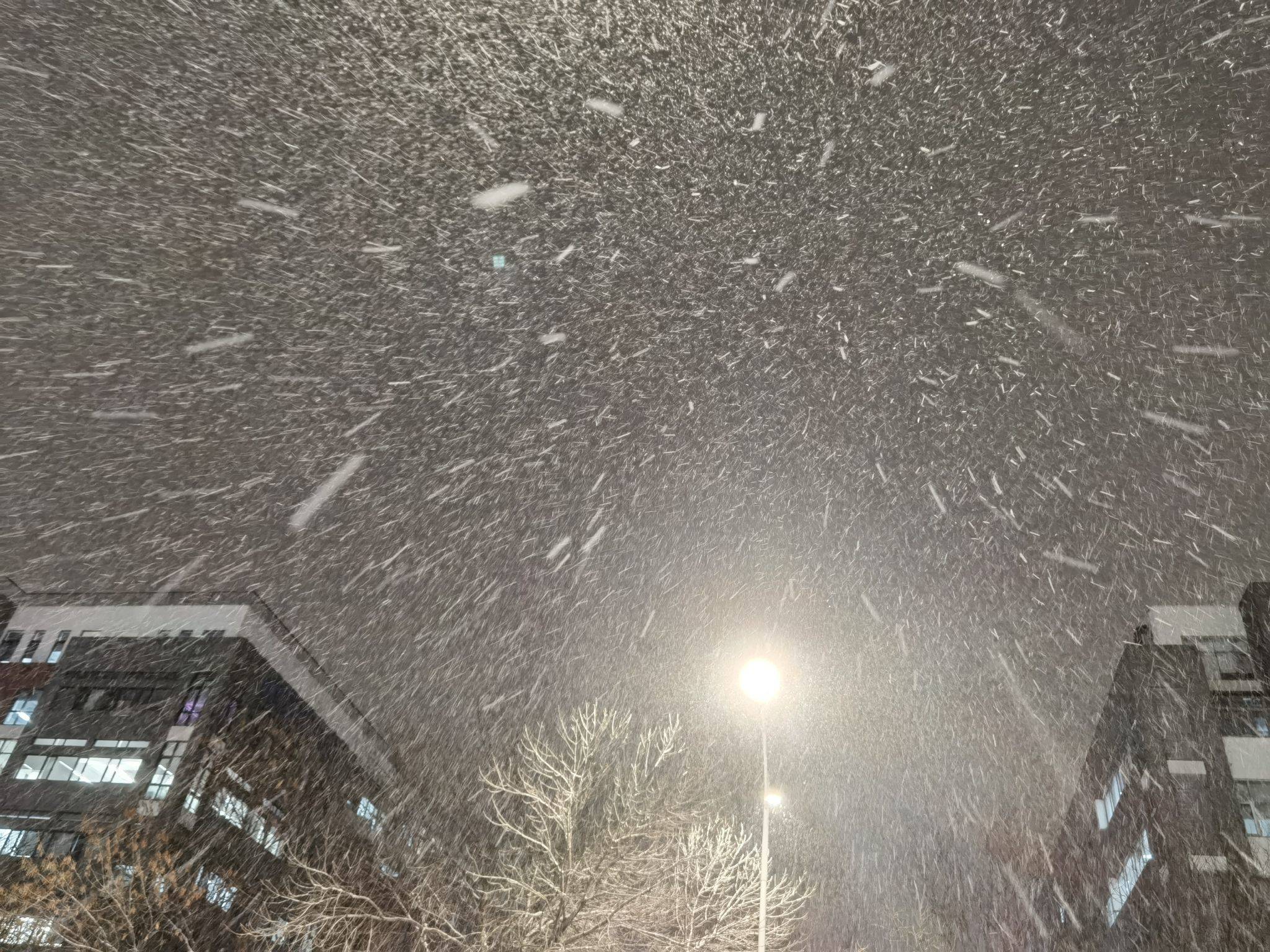 北京国展地铁，有电梯房，找女室友合租