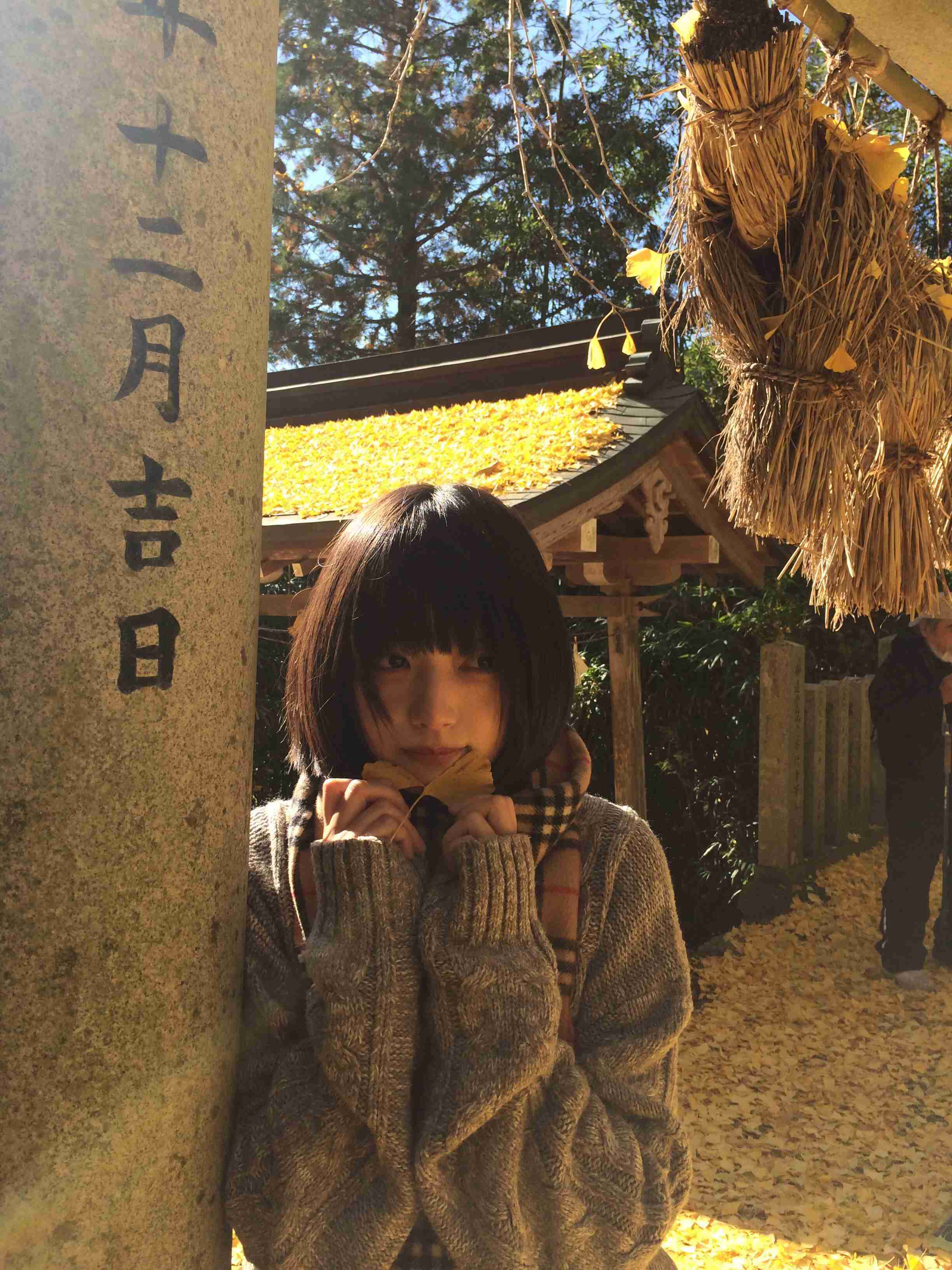 银杏美到失语_1