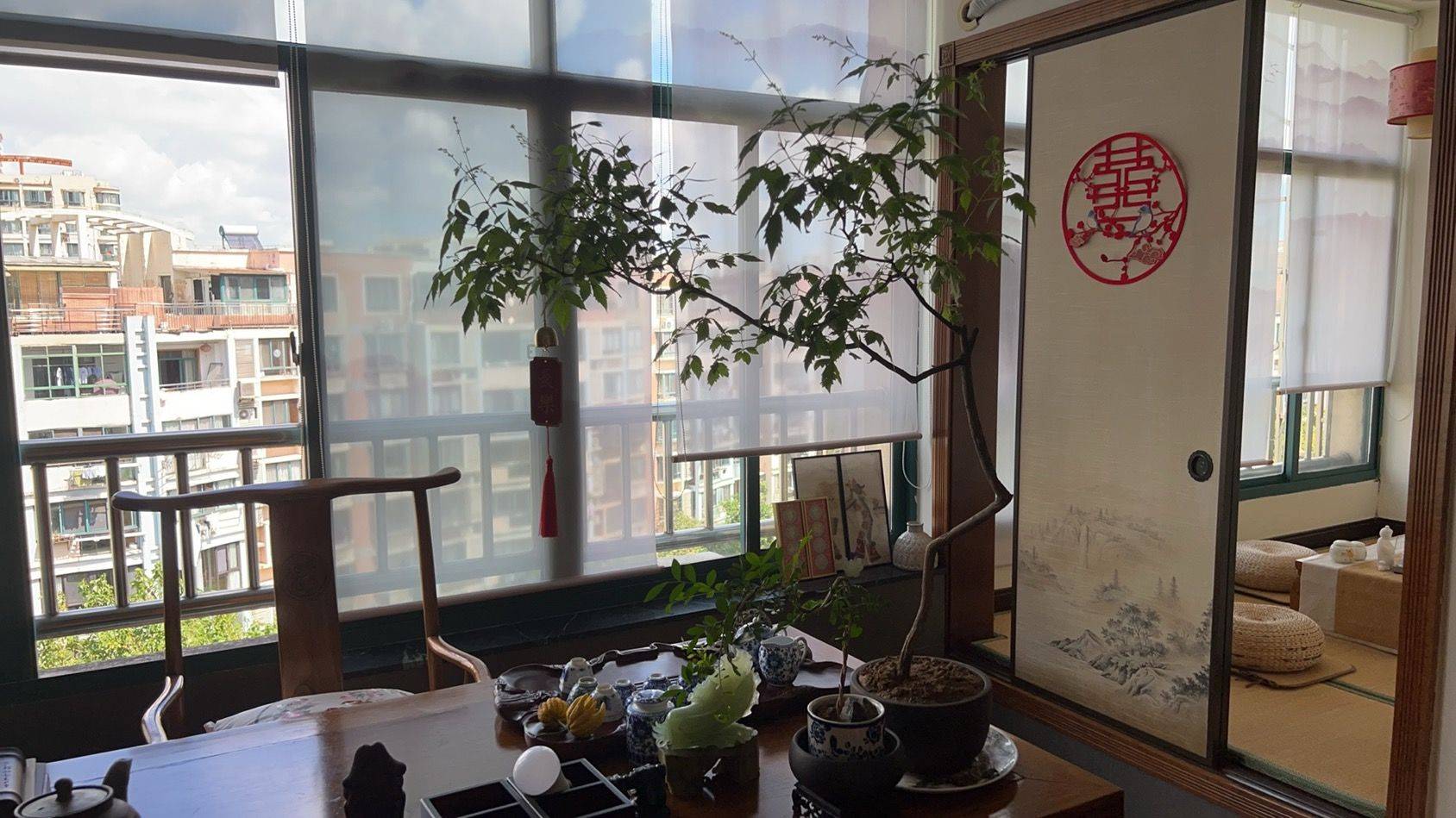 认真的 蹲室友 好房子