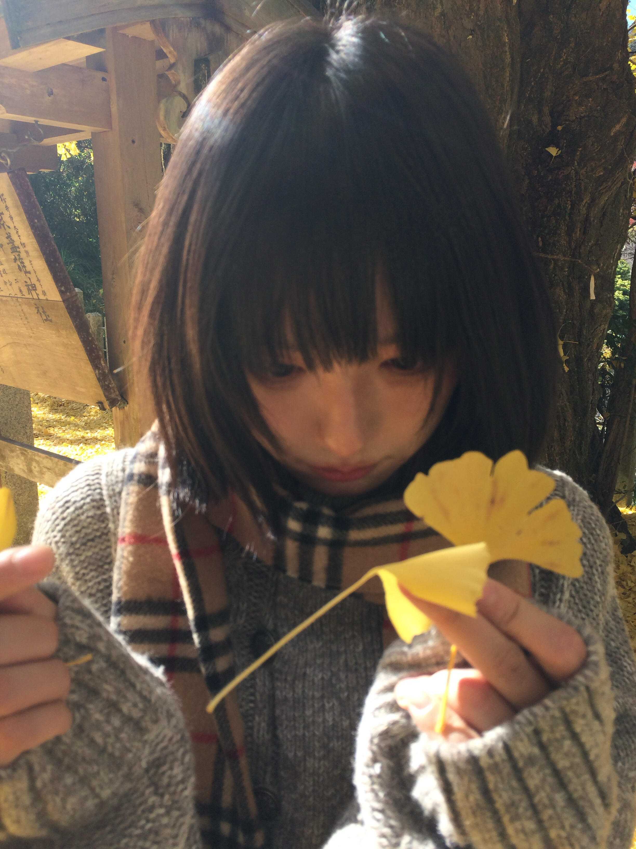 银杏美到失语_2