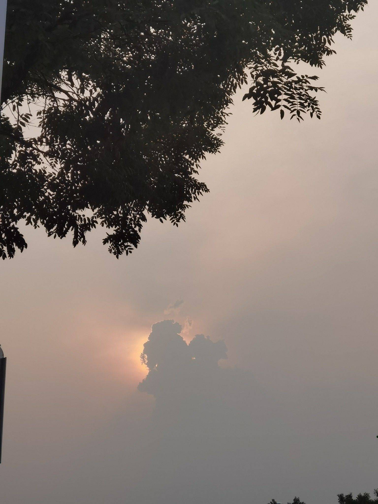 北京国展地铁，电梯房两室一厅，蹲女室友
