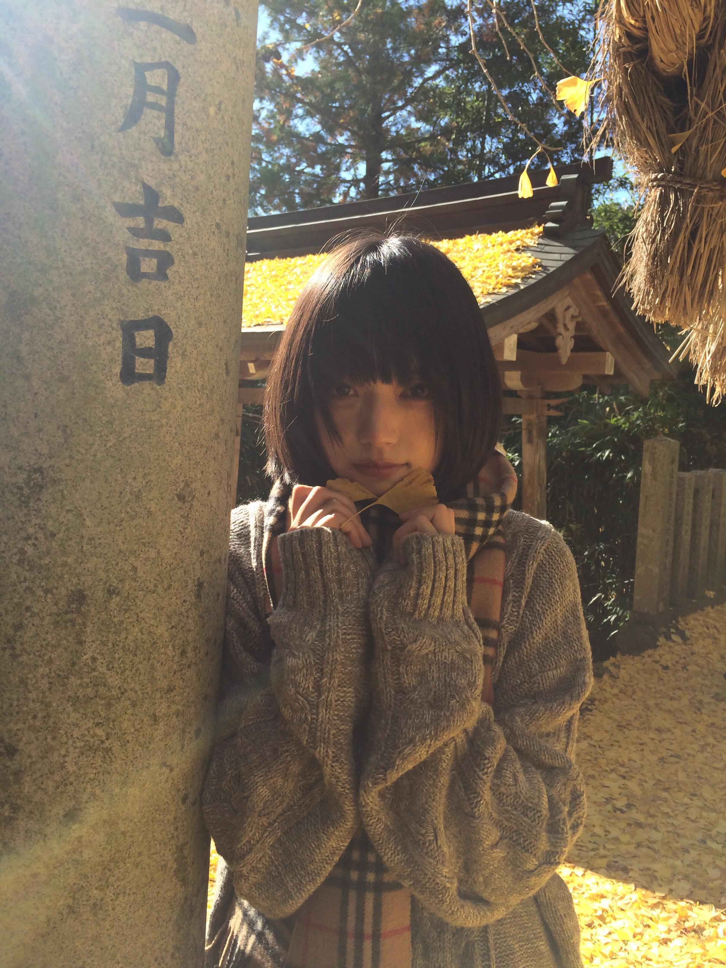 银杏美到失语_3