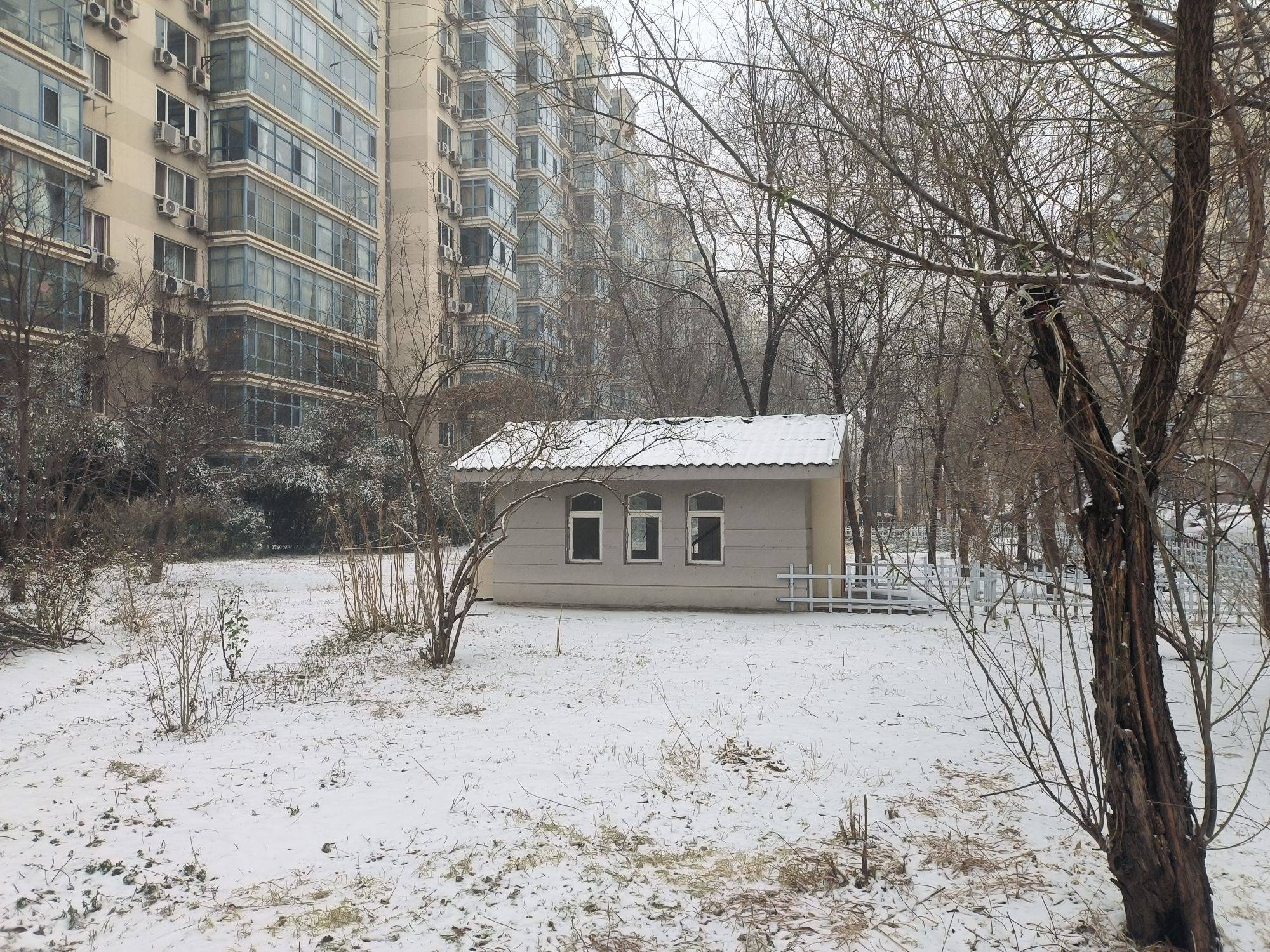 大雪至，万物藏
酿字为酒，饮雪成诗
愿世_2