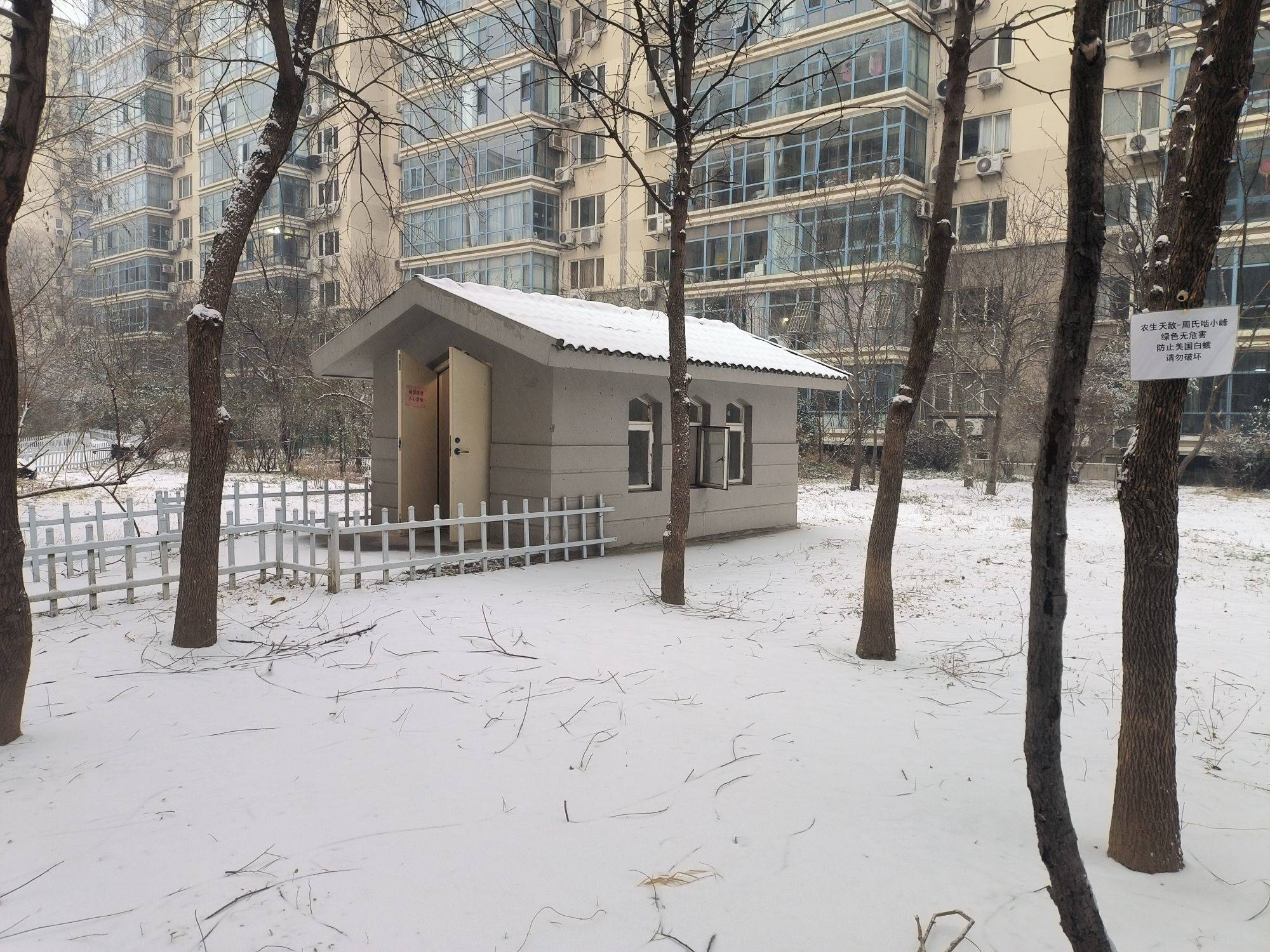 大雪至，万物藏
酿字为酒，饮雪成诗
愿世_1