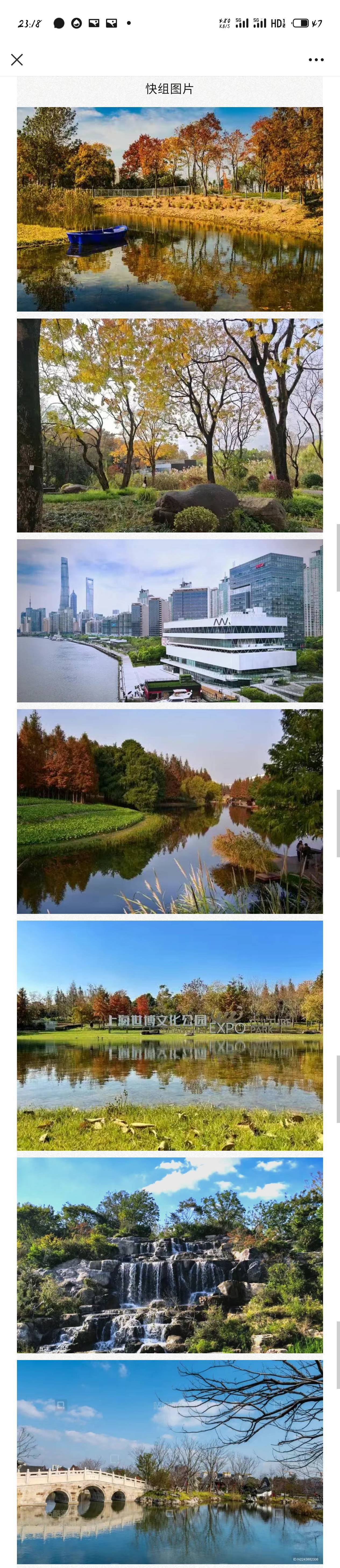 12.20  SURF公益徒步｜浦东滨江绿道_3