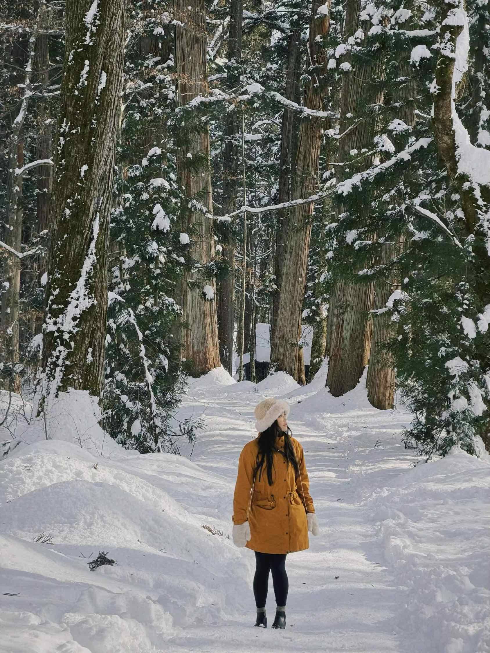 也想去看雪了 漫步大自然  冬日独步