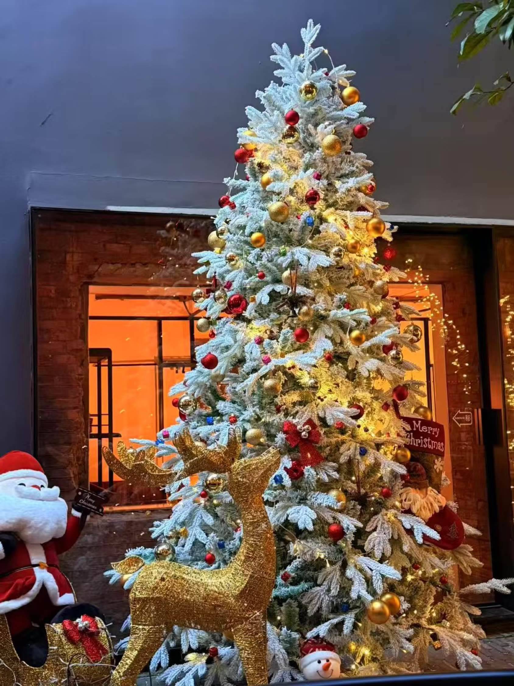 听说是今年 🎄聚餐的 餐厅