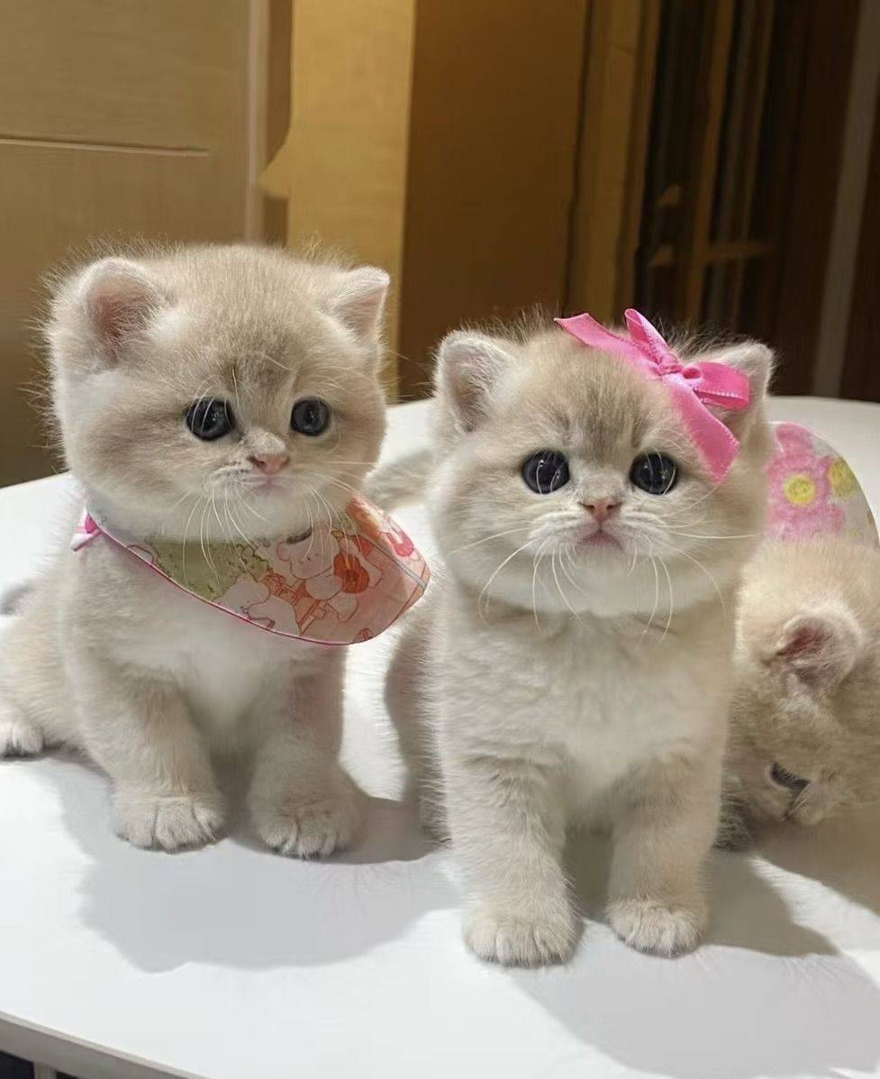 蹲室友 坐标沈阳