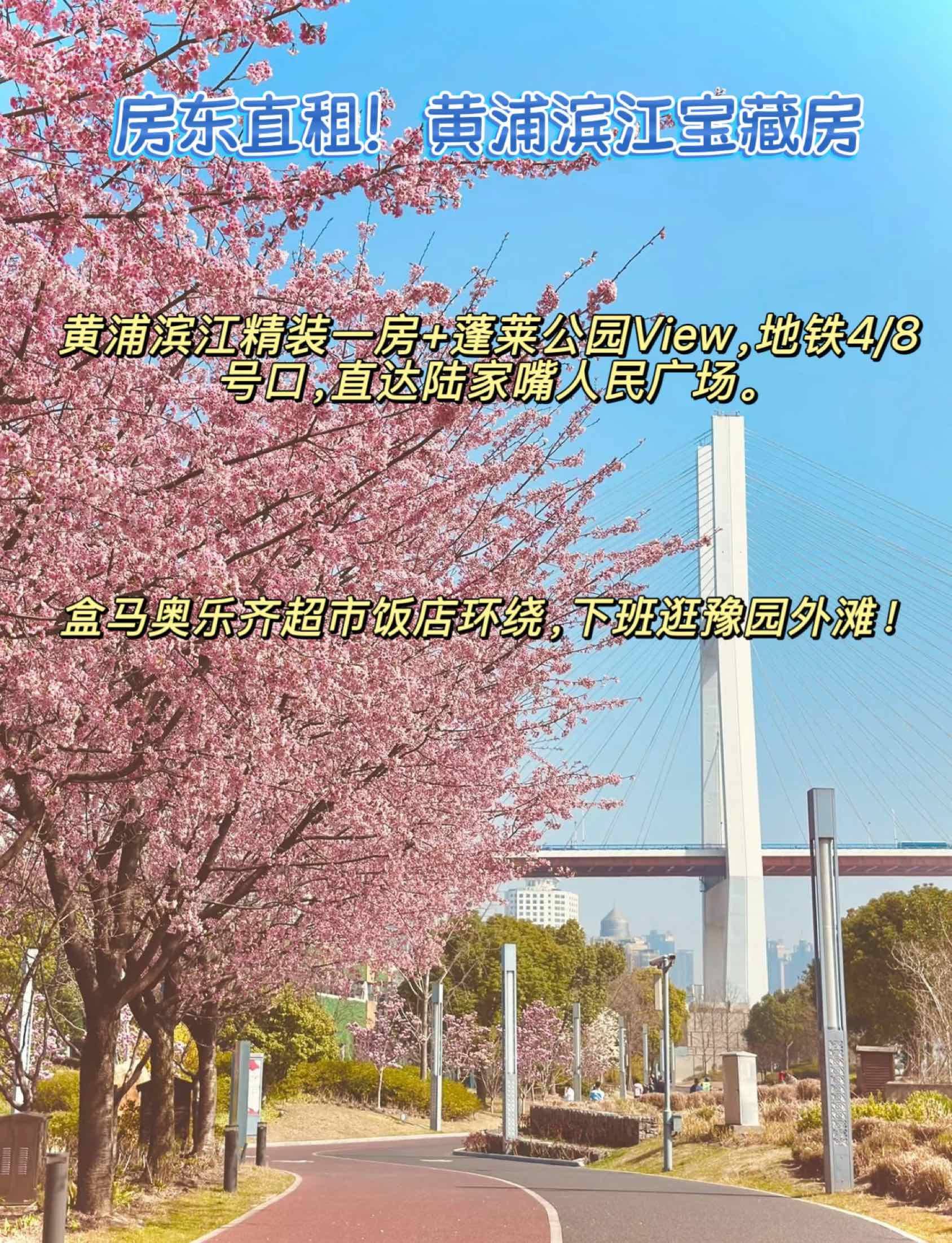 漫步大自然  樱花道  城市风光 