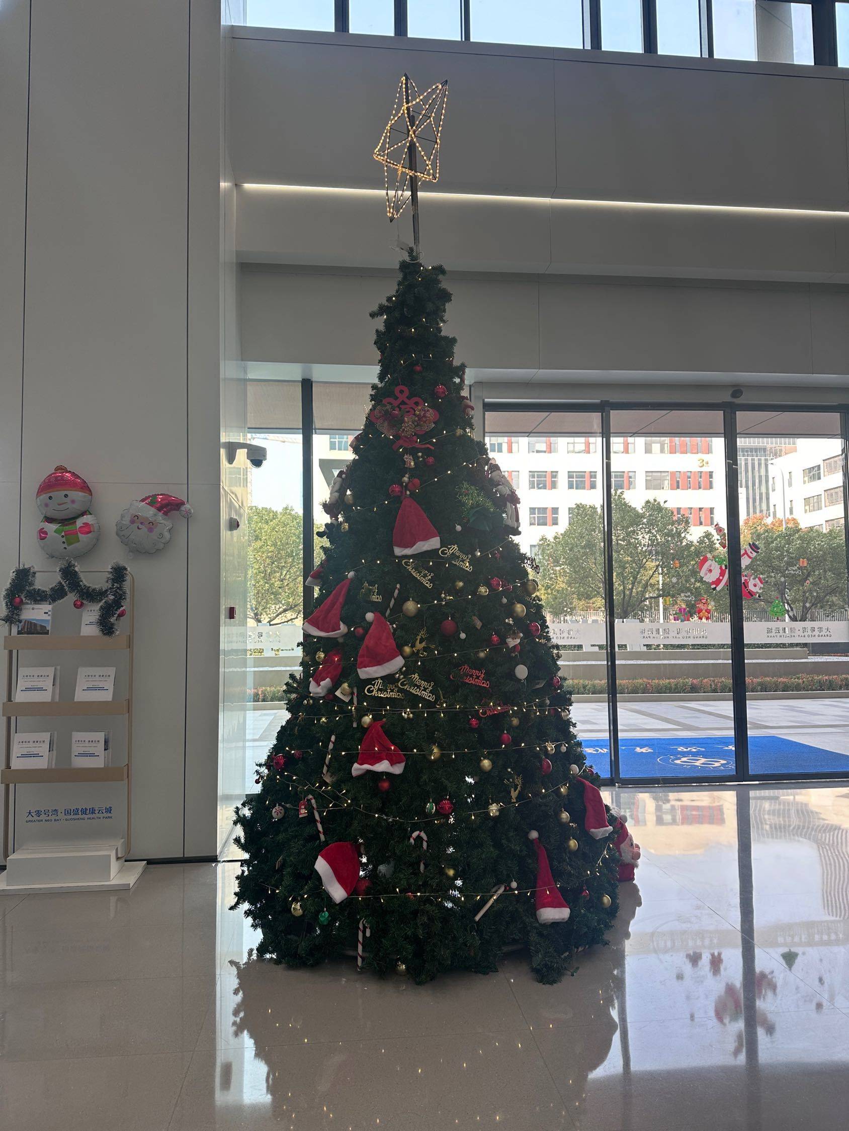 好大的圣诞树
