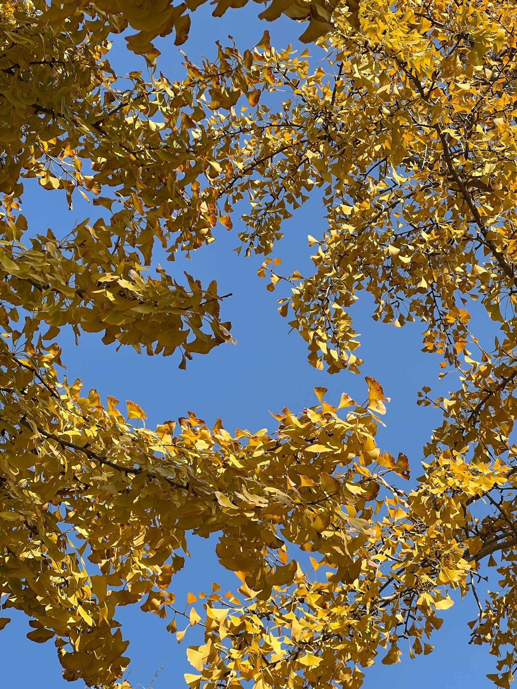 12金京路合租蹲室友_3