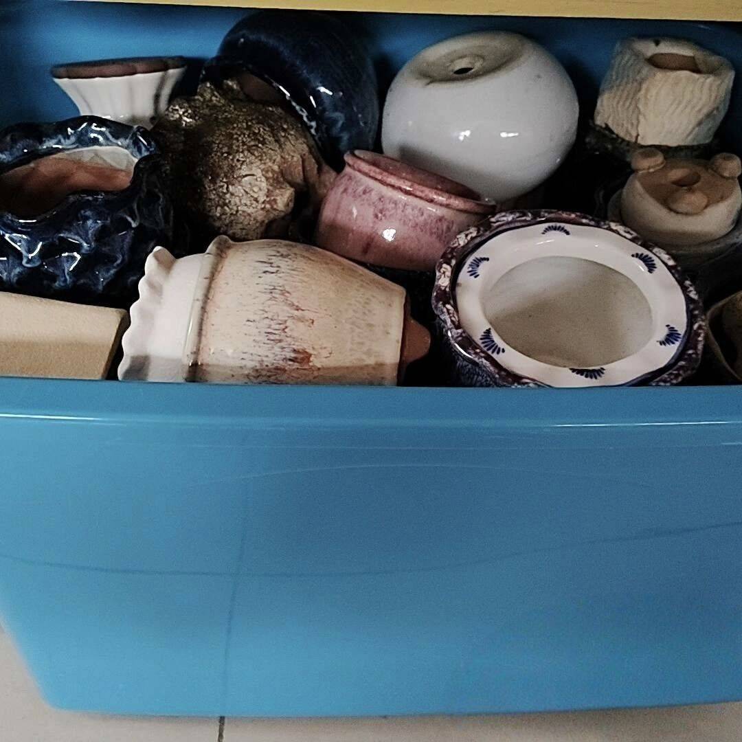 满满一大箱子多肉花盆，全部打包600元，_2