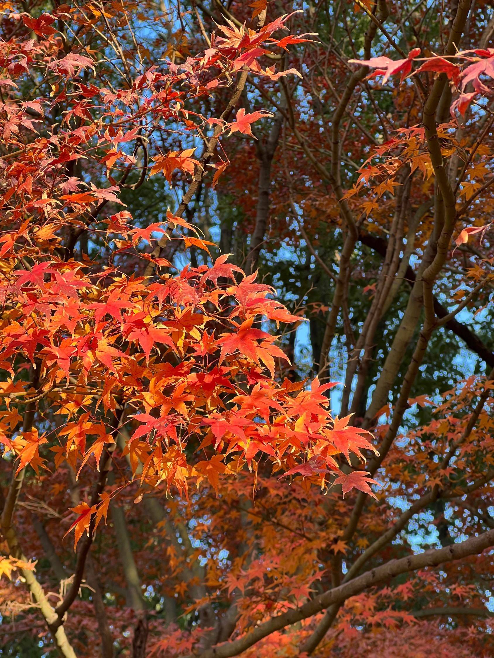 12金京路合租蹲室友_1