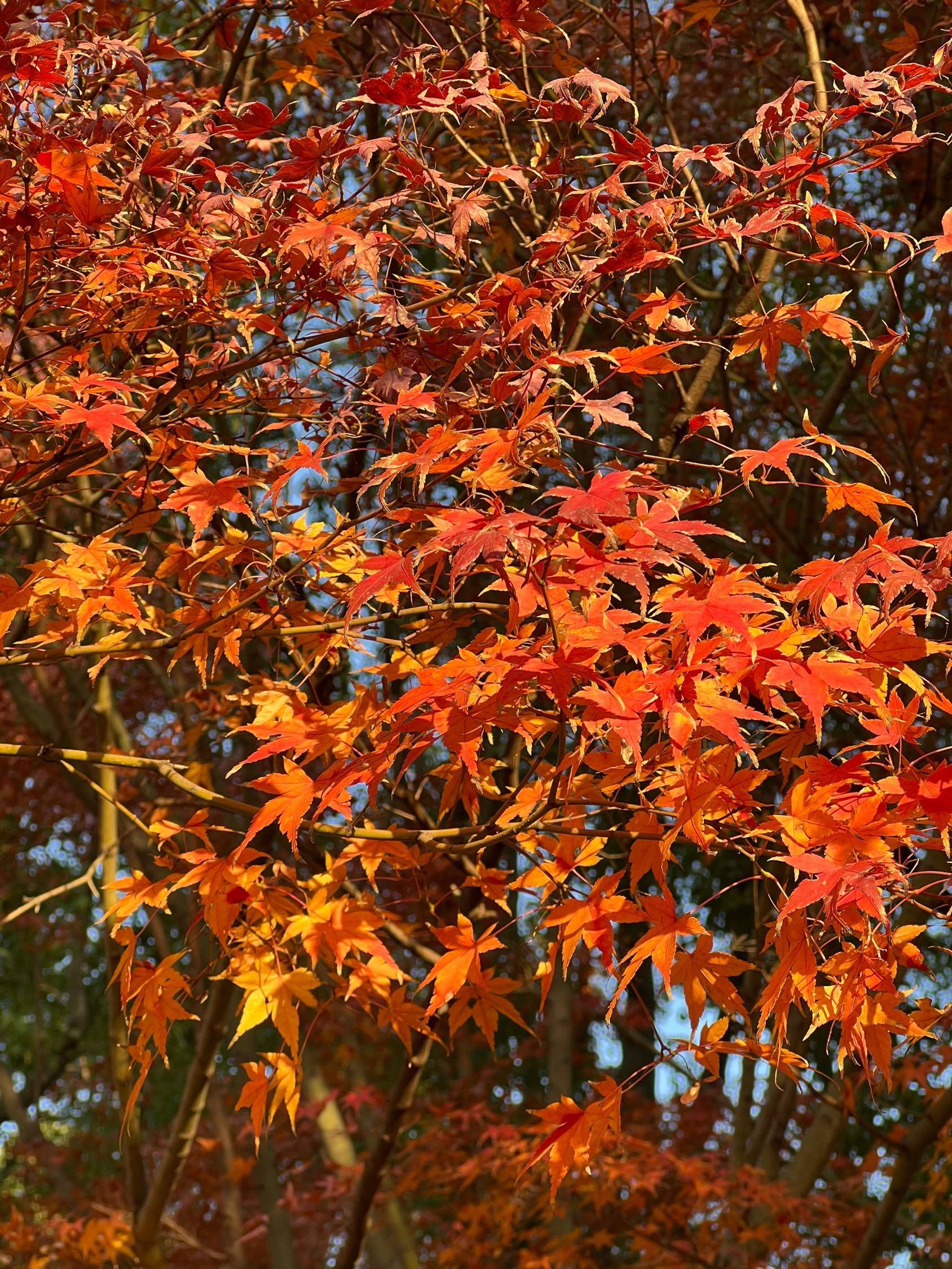12金京路合租蹲室友_2