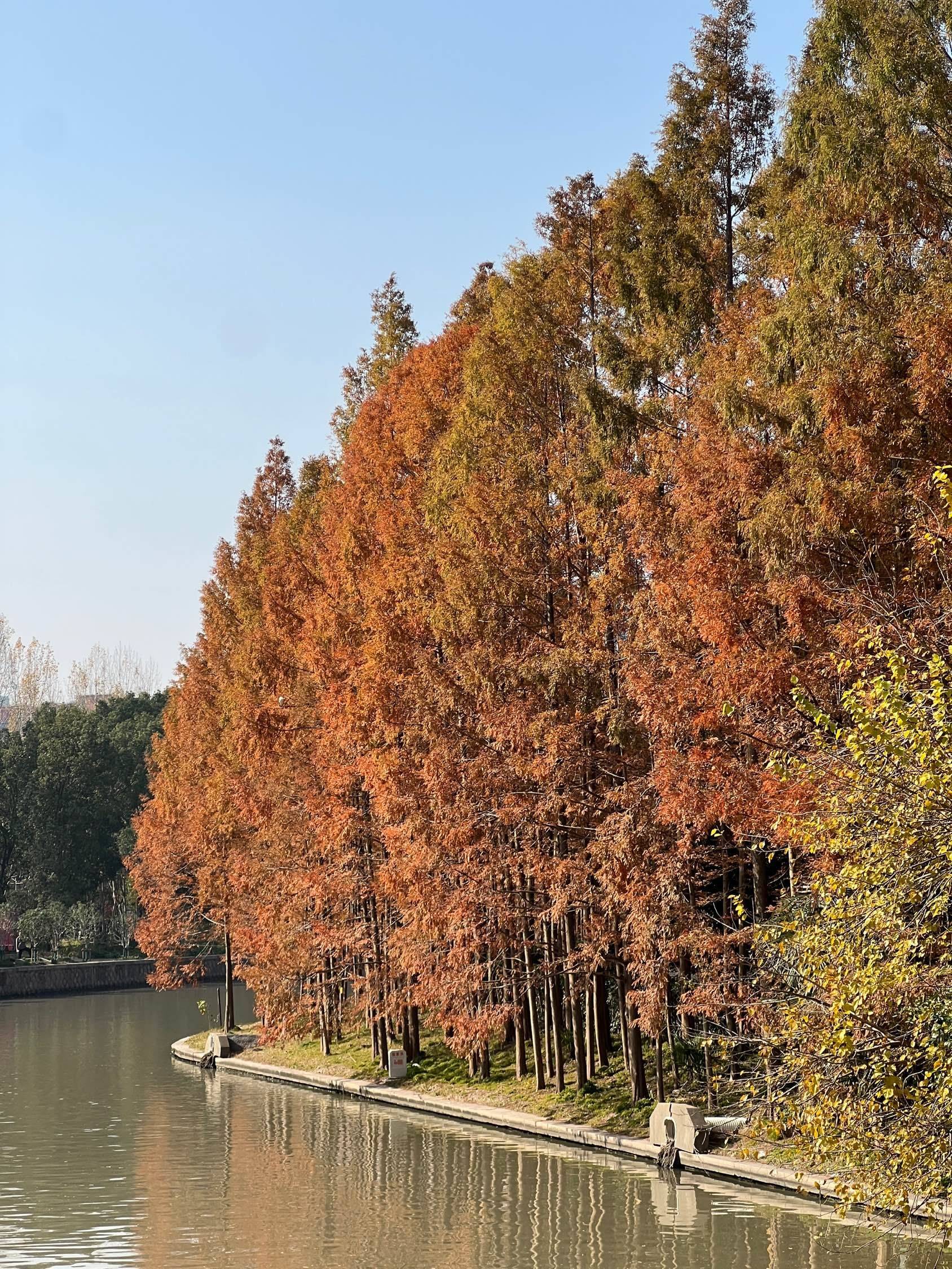 12金京路合租蹲室友_4