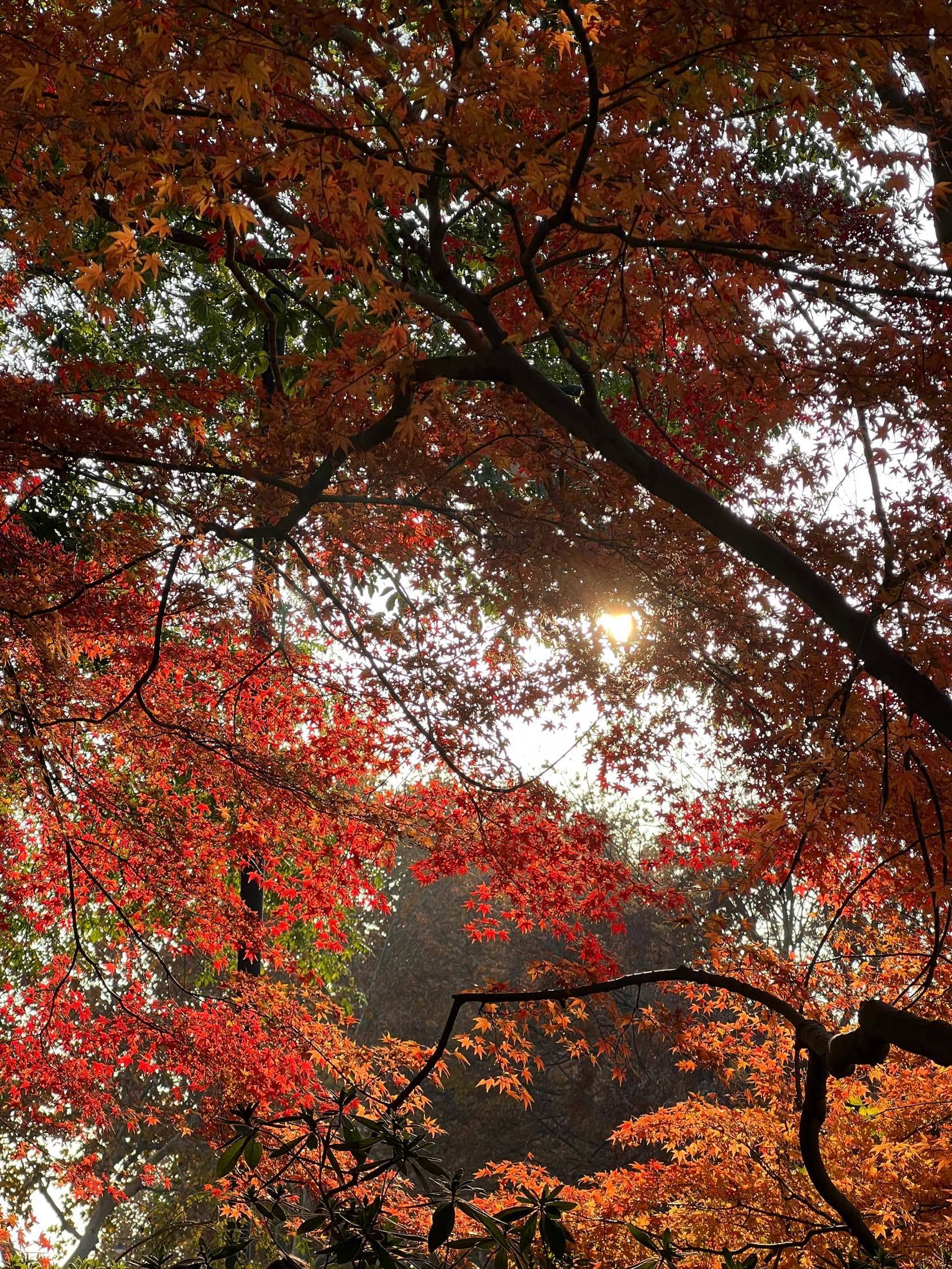 12金京路合租蹲室友