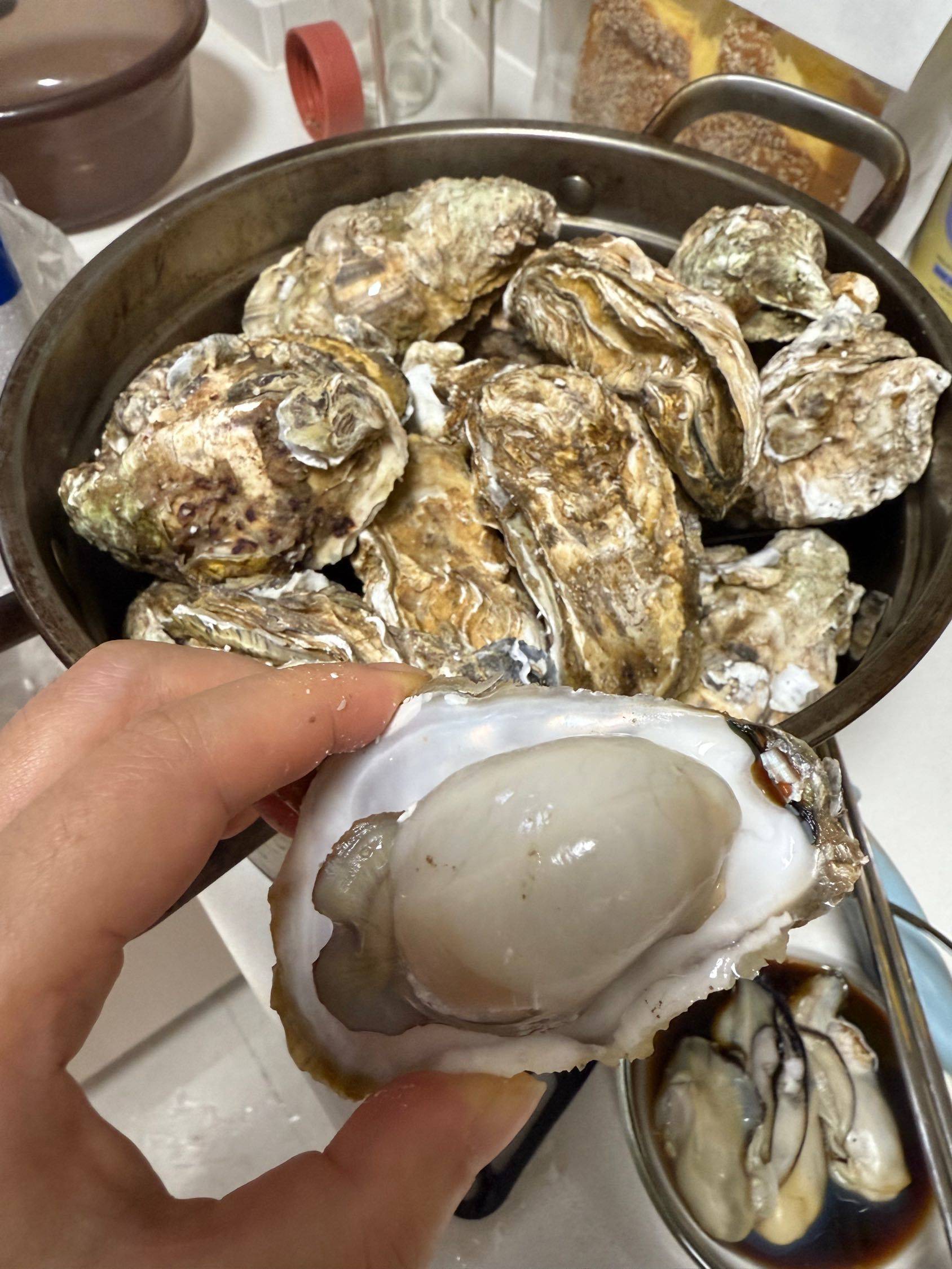 环普附近找合租室友