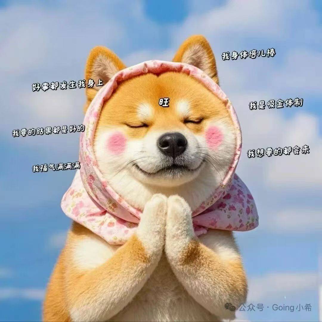 柴犬 因去外地工作，不能长期去照顾，_0