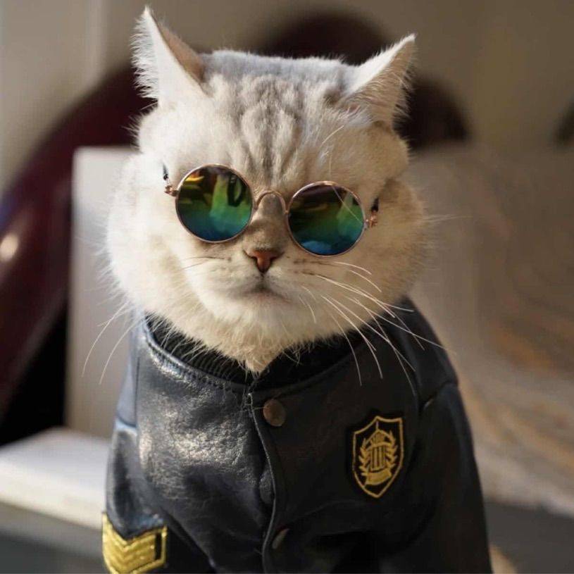 来个一起玩耍的室友搭子，没事一起出去活动