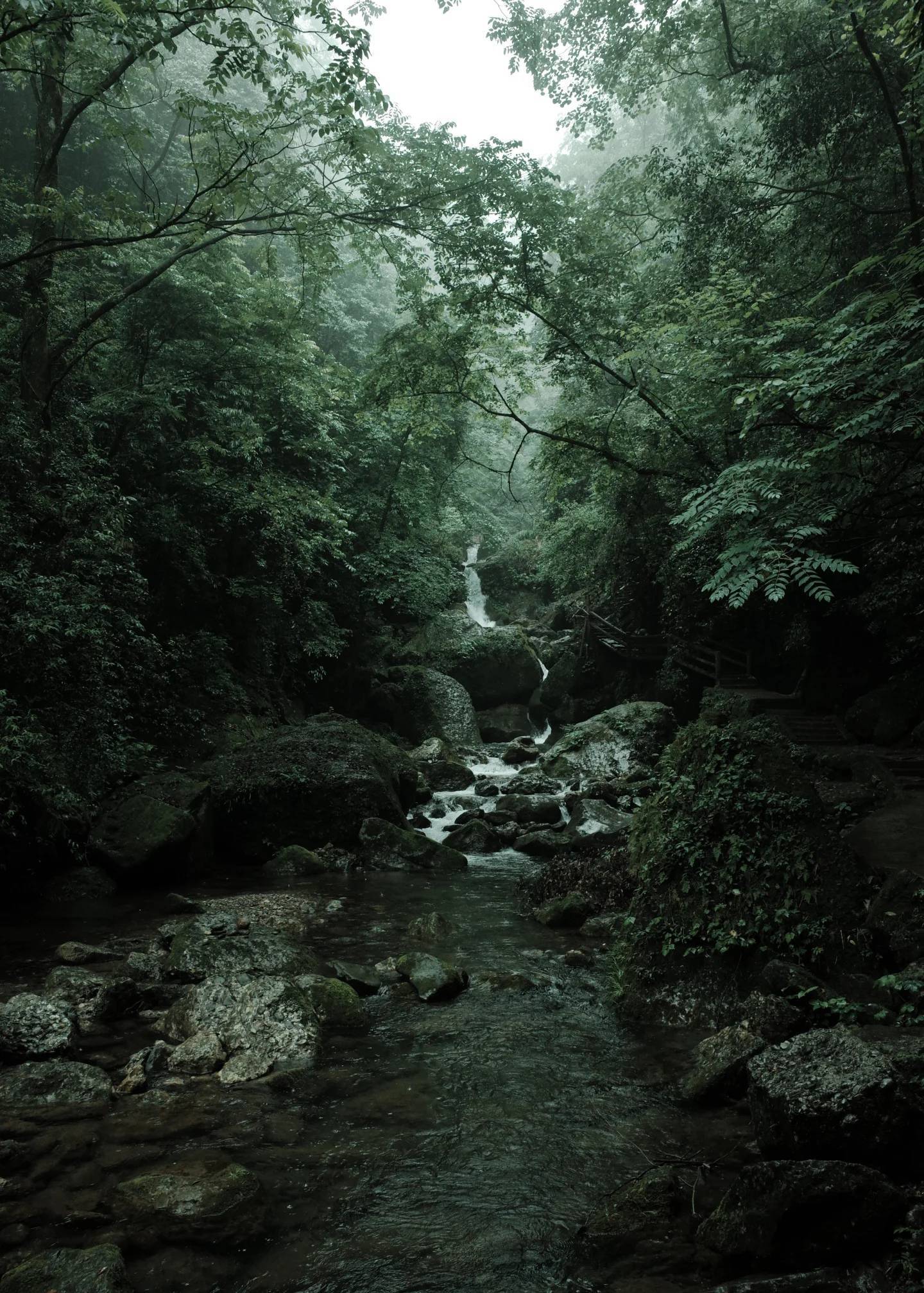 今日份放松 青城山 爬山很简单  _1