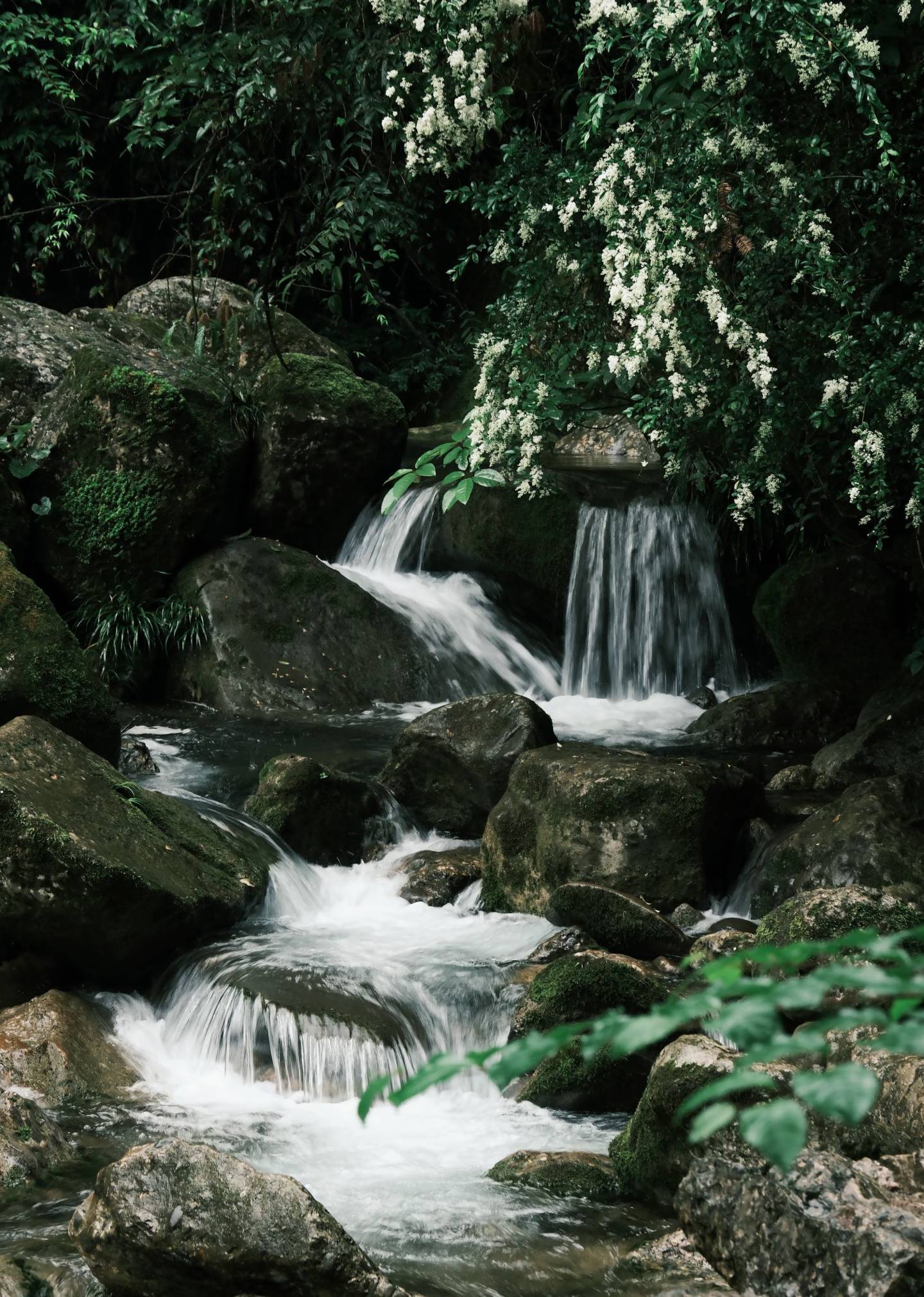 今日份放松 青城山 爬山很简单  _2