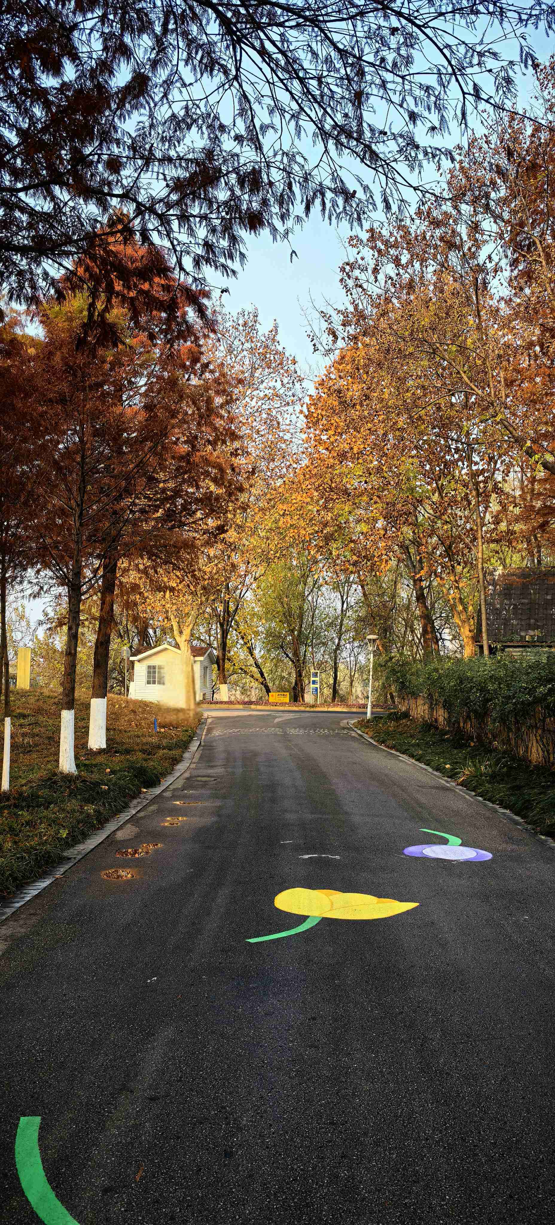 清晨的绿博园_2