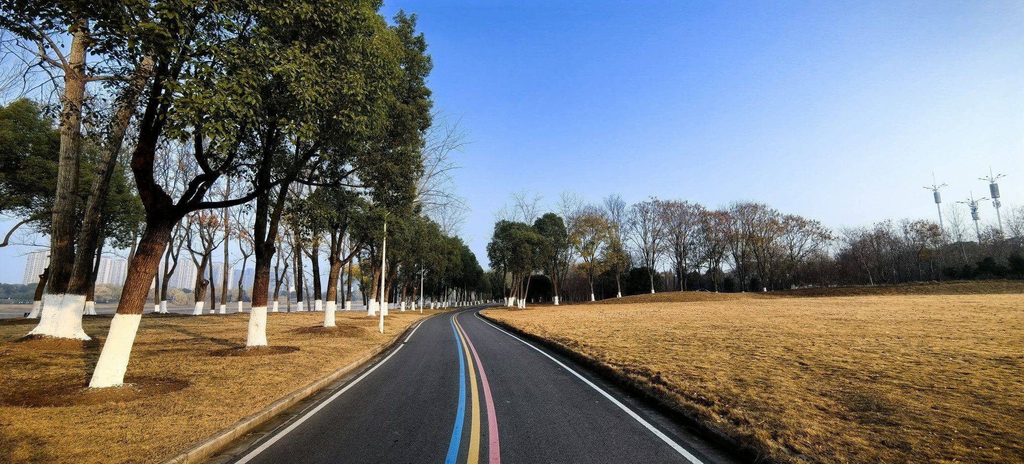 清晨的绿博园_4