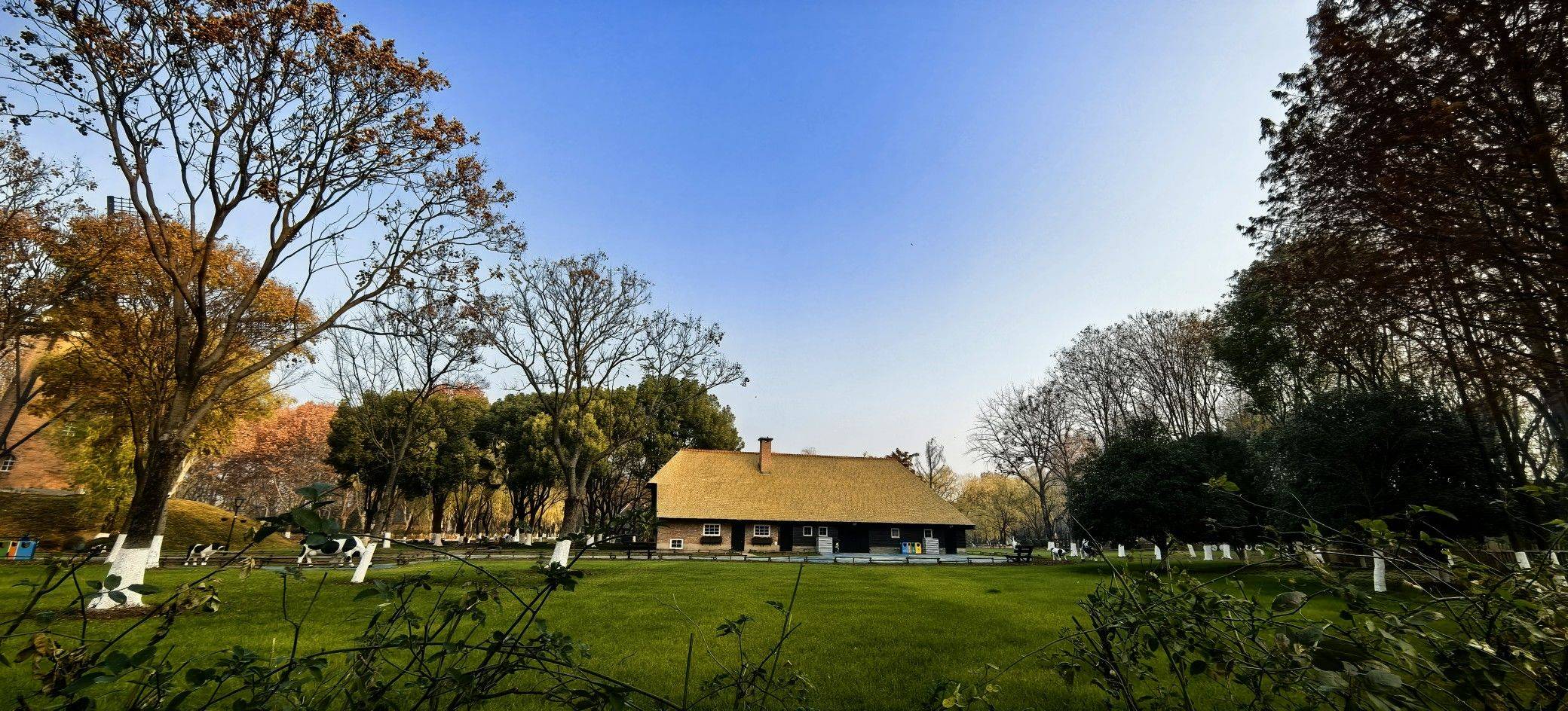 清晨的绿博园_3