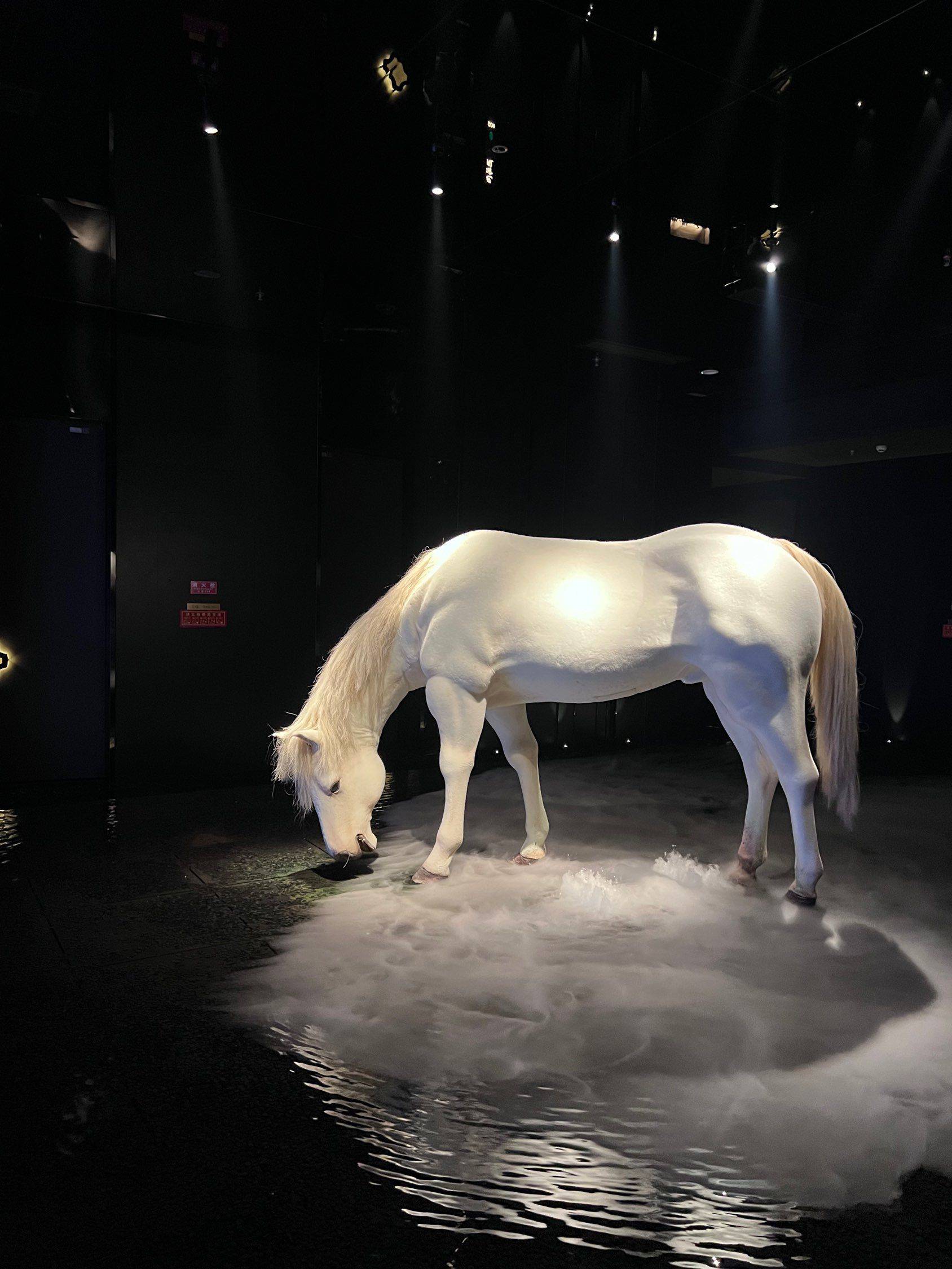 洗的不是脚，洗的是生活的泥泞 享受当下