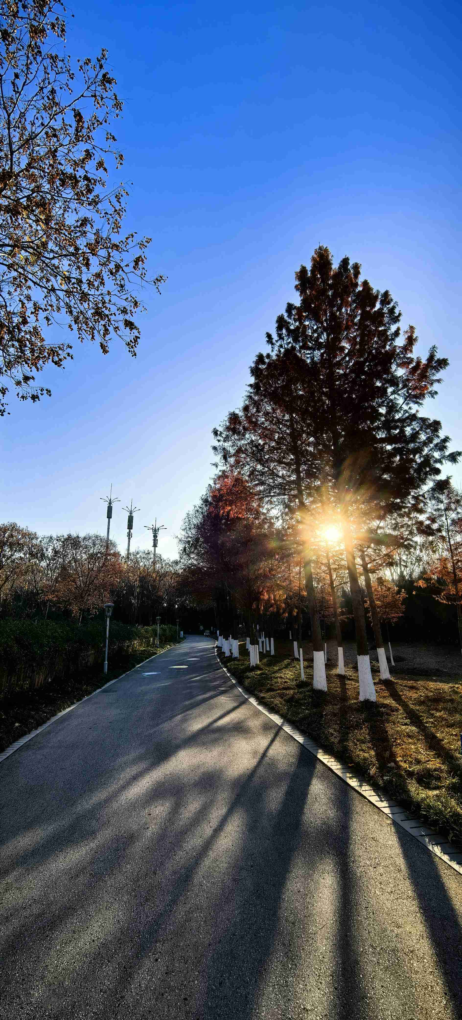 好天气，好心情，绝配！_4