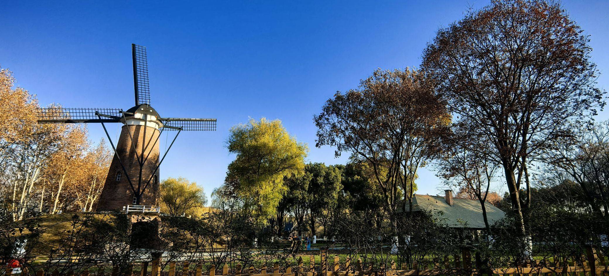 好天气，好心情，绝配！_3