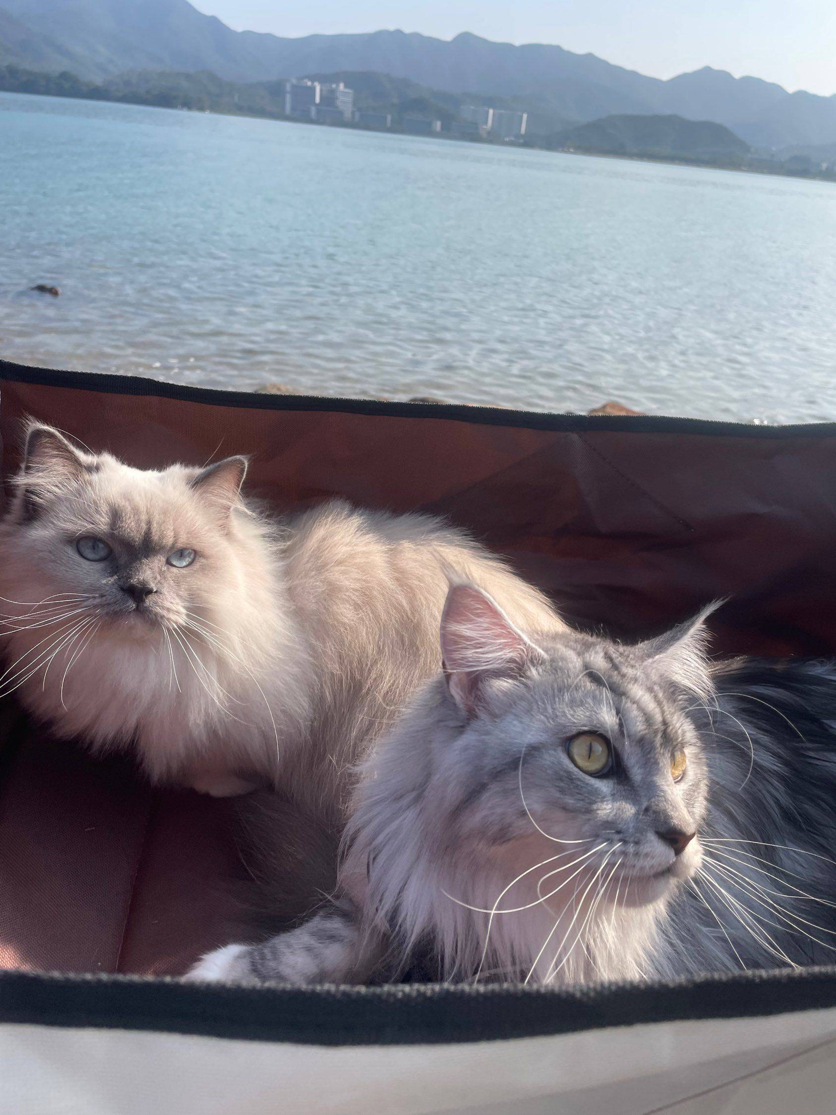 2025年最后一个周末_4