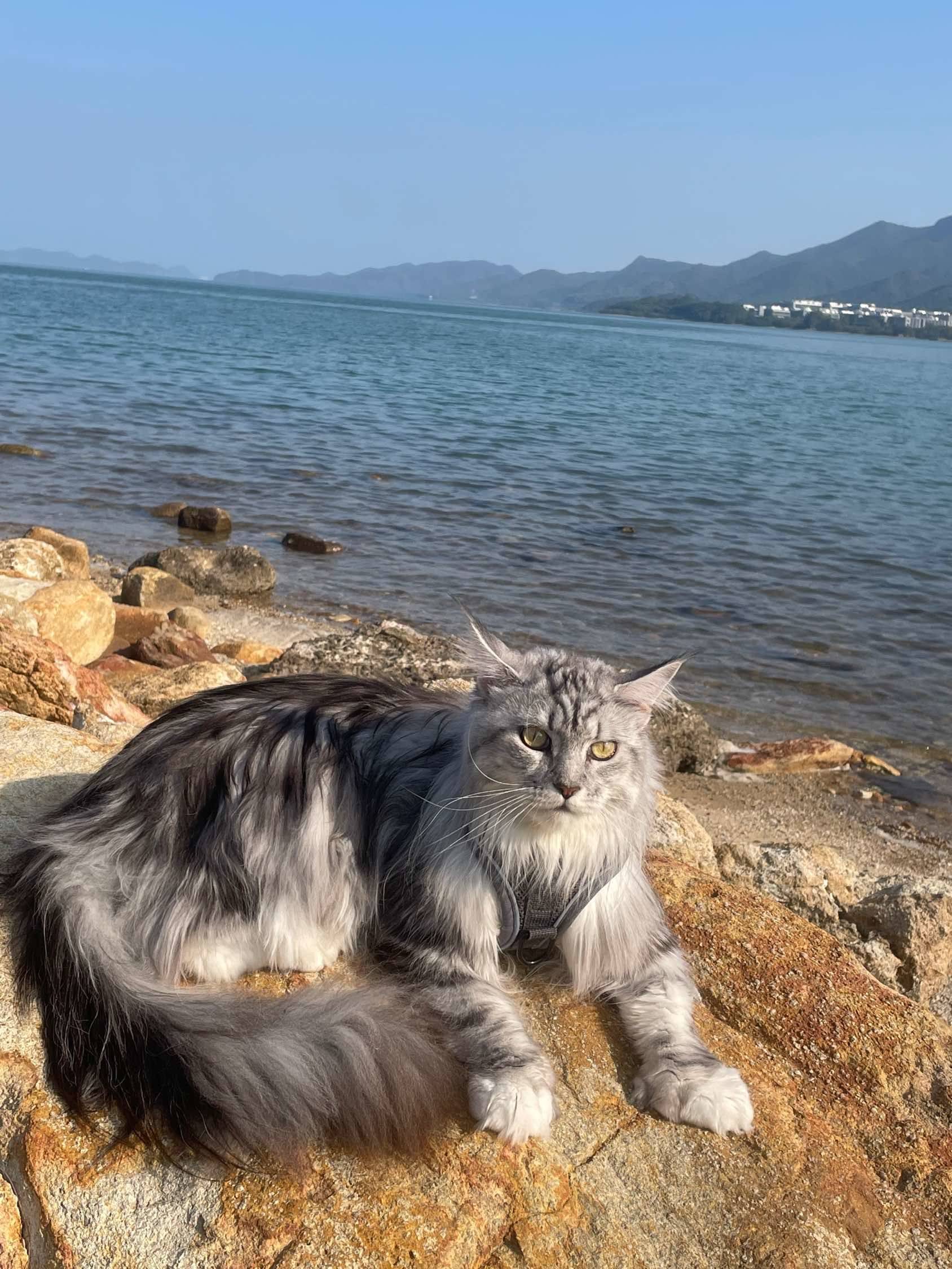 2025年最后一个周末