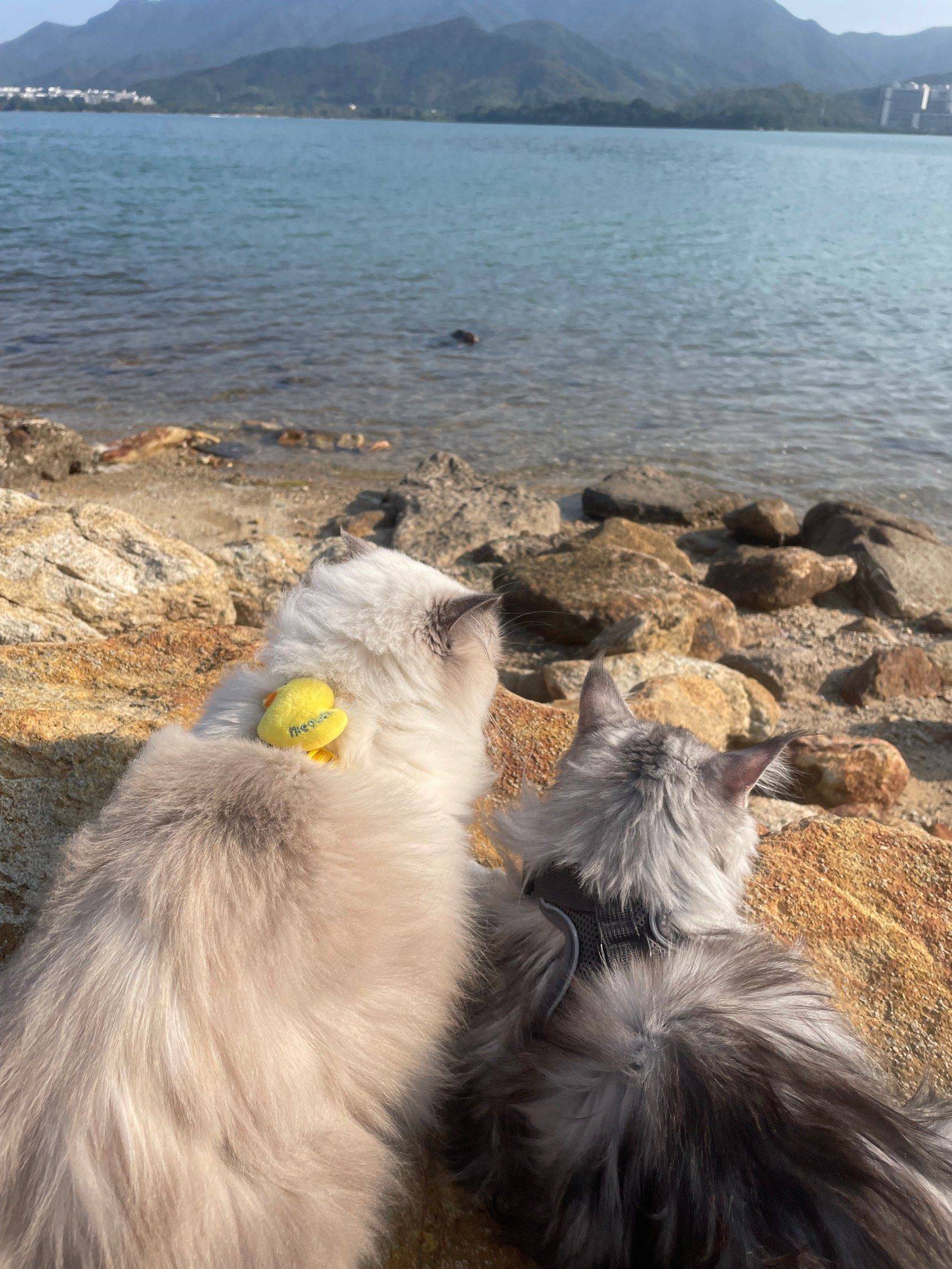 2025年最后一个周末_1