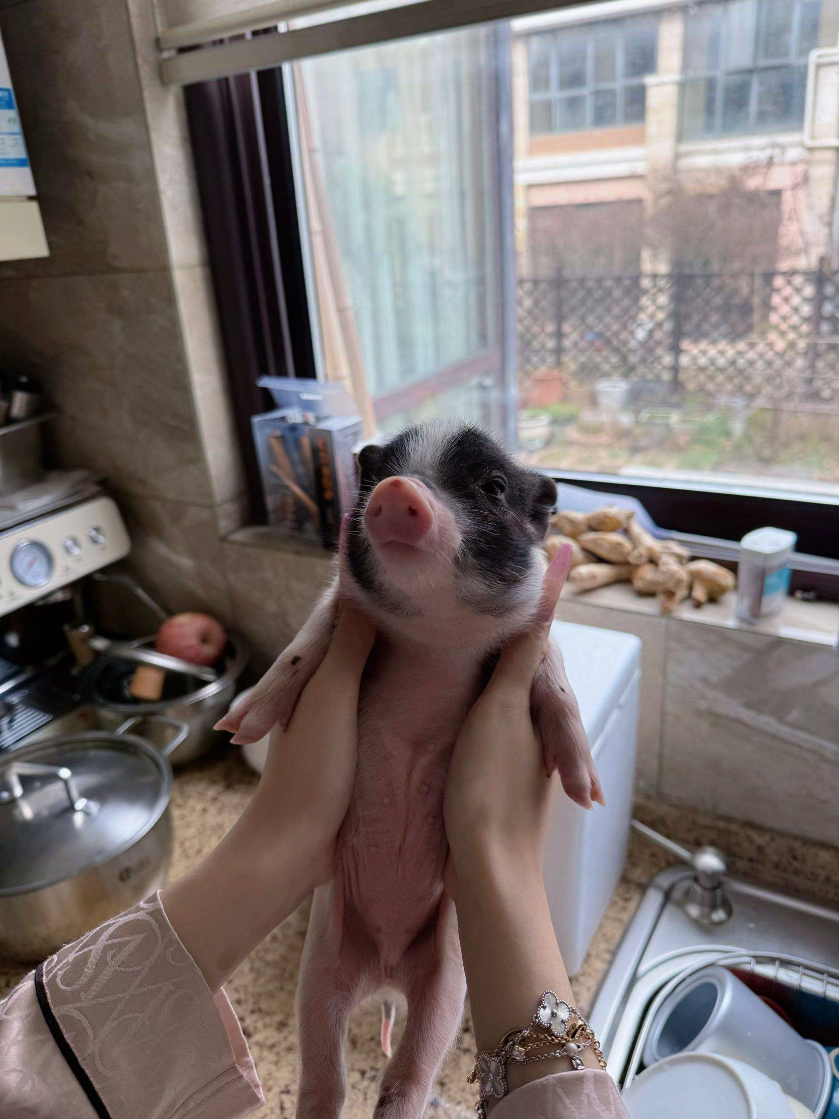 华发冰雪世界蹲室友