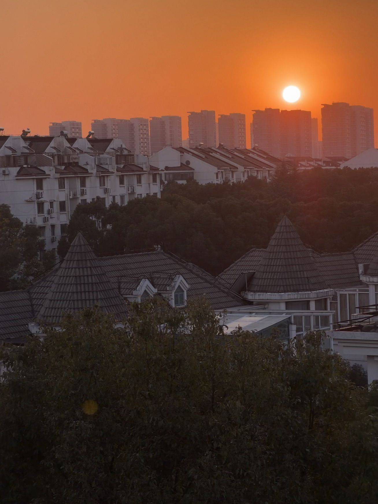 漕河泾100平大两居招室友🏠带薪撸猫🐱