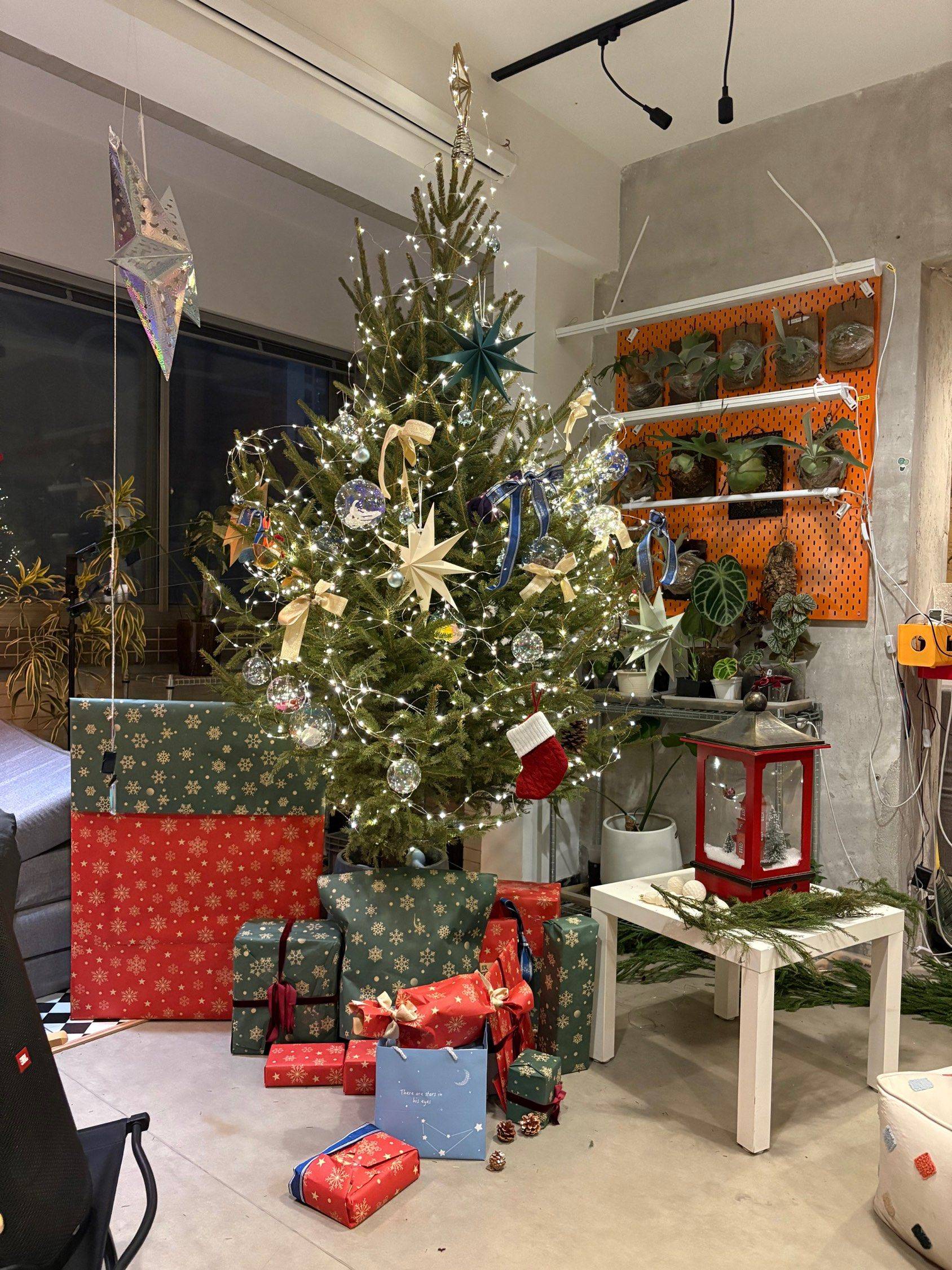 dweller共居社区2月招募!